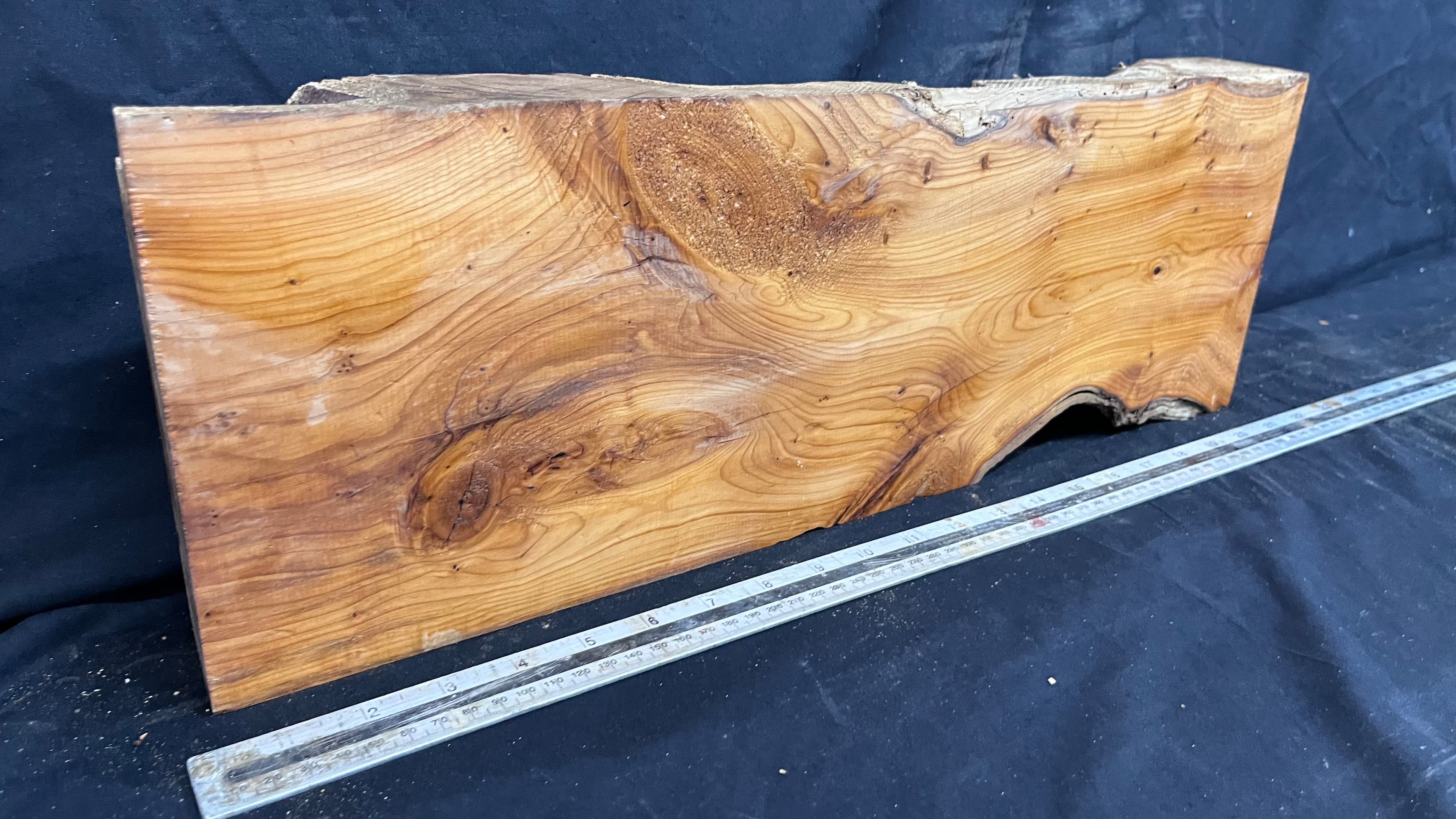 Yew, resin project, slab, board, block 533 L x 184 W x 60 D mm    (422mt)