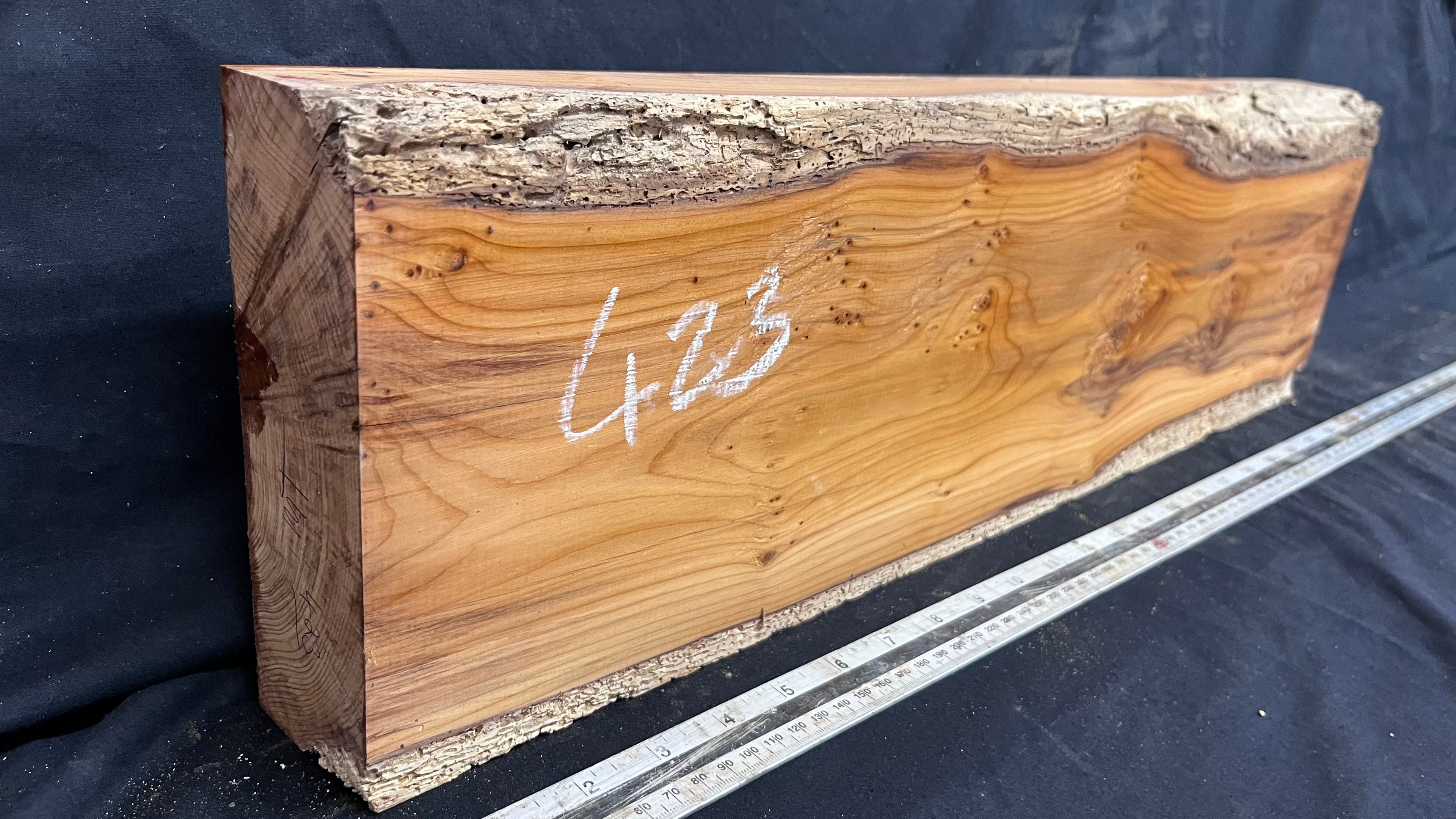 Yew, resin project, slab, board, block 622 L x 180 W x 58 D mm    (423mt)