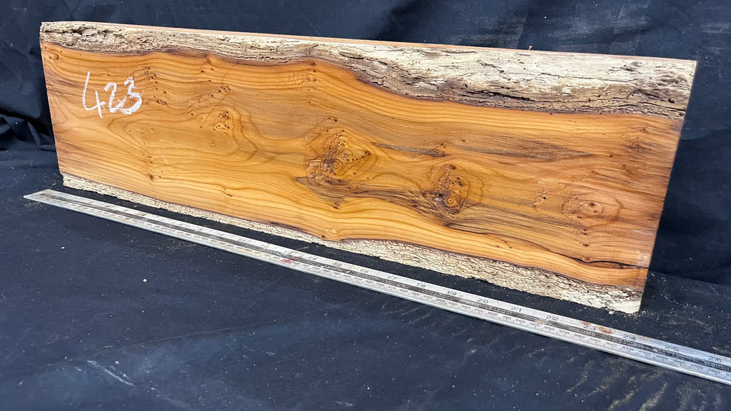 Yew, resin project, slab, board, block 622 L x 180 W x 58 D mm    (423mt)