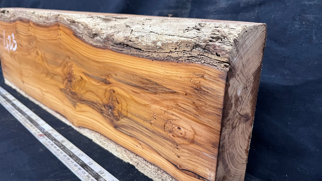 Yew, resin project, slab, board, block 622 L x 180 W x 58 D mm    (423mt)
