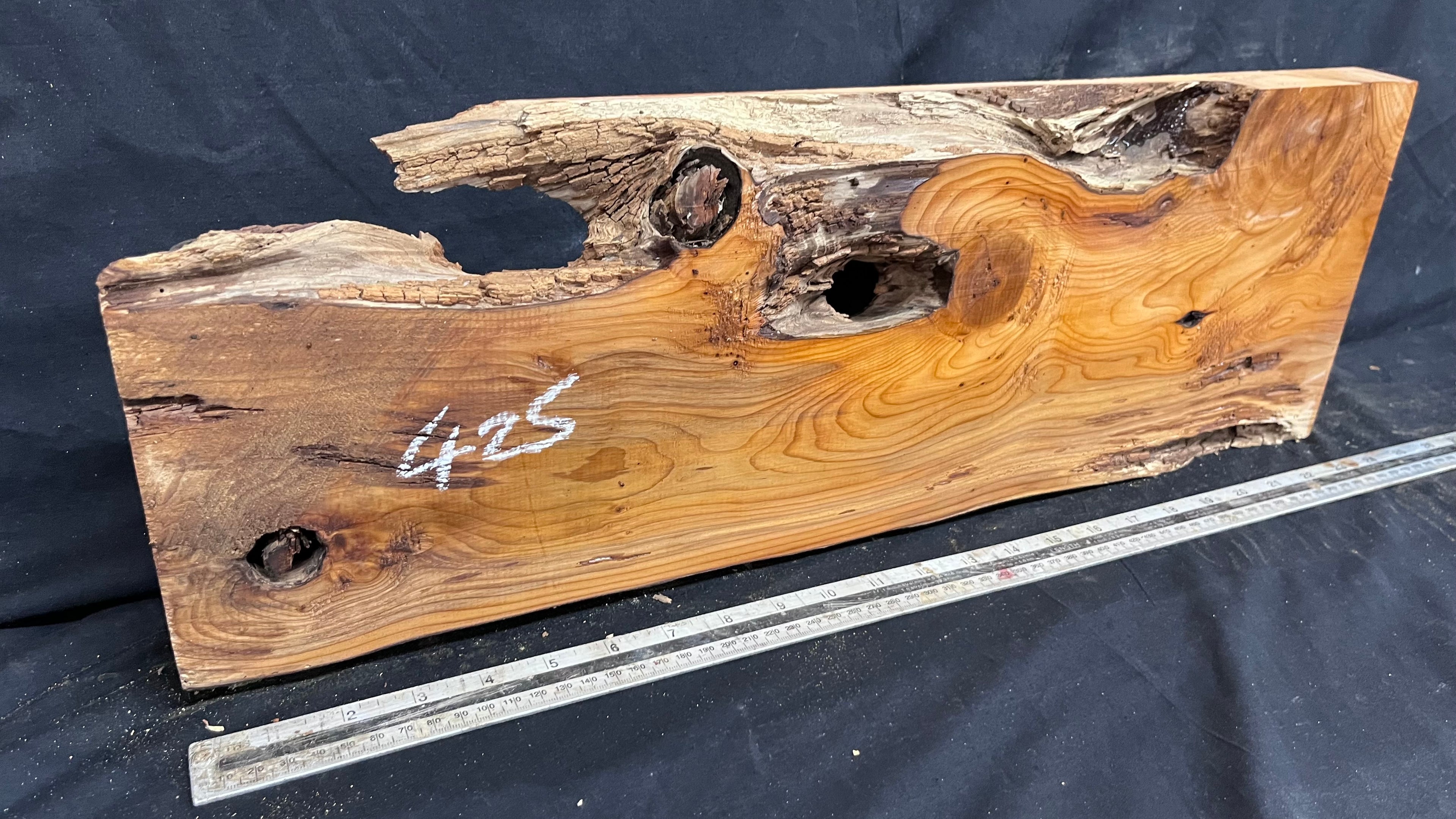 Yew, resin project, slab, board, block 607 L x 207 W x 40 D mm    (425mt)