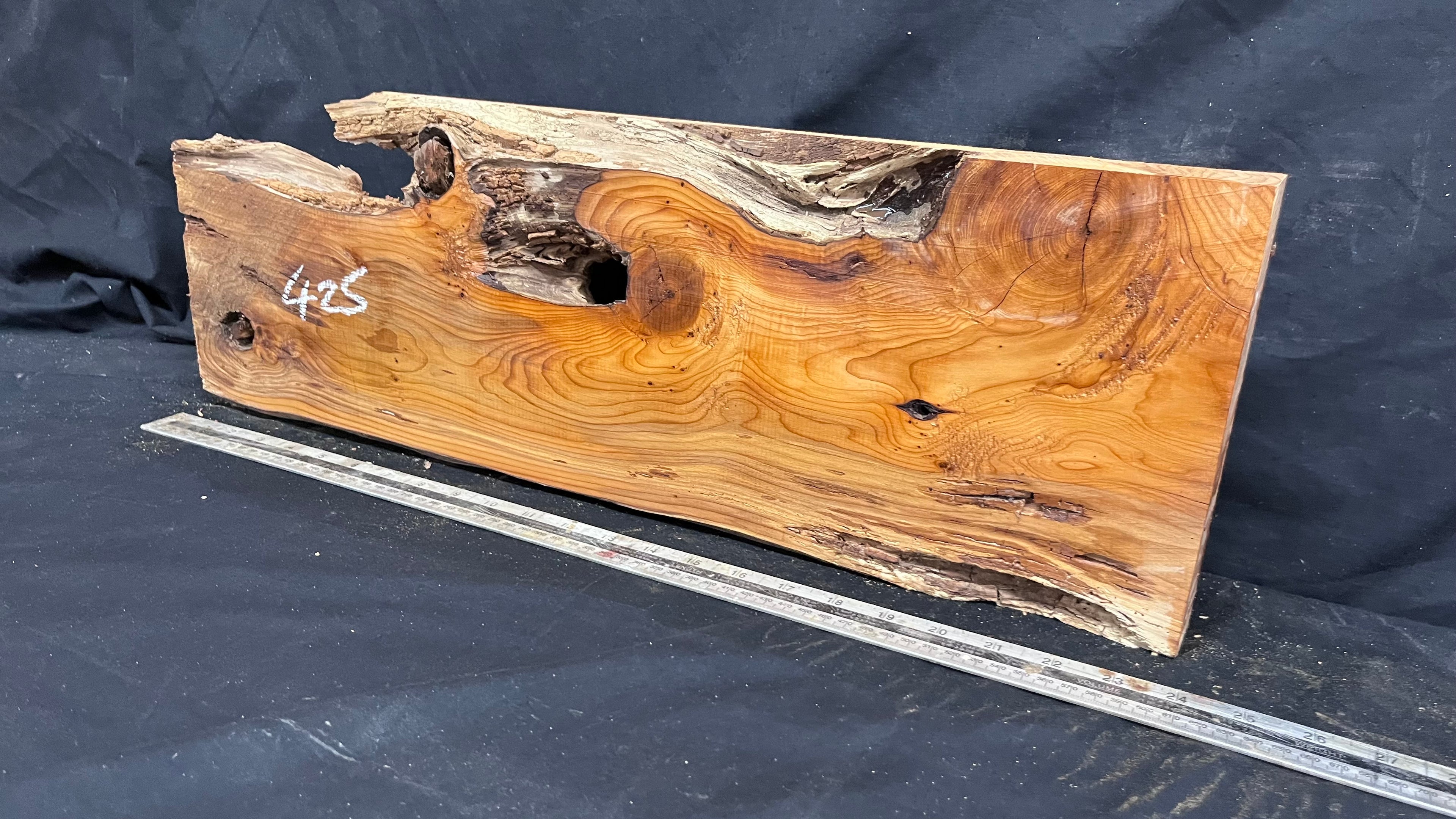 Yew, resin project, slab, board, block 607 L x 207 W x 40 D mm    (425mt)