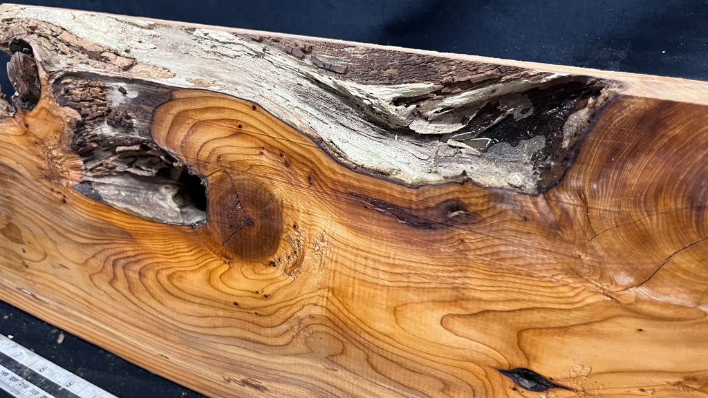 Yew, resin project, slab, board, block 607 L x 207 W x 40 D mm    (425mt)