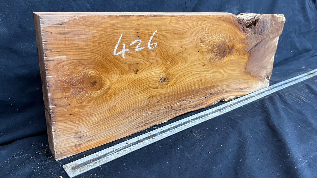 Yew, resin project, slab, board, block 615 L x 207 W x 40 D mm    (426mt)