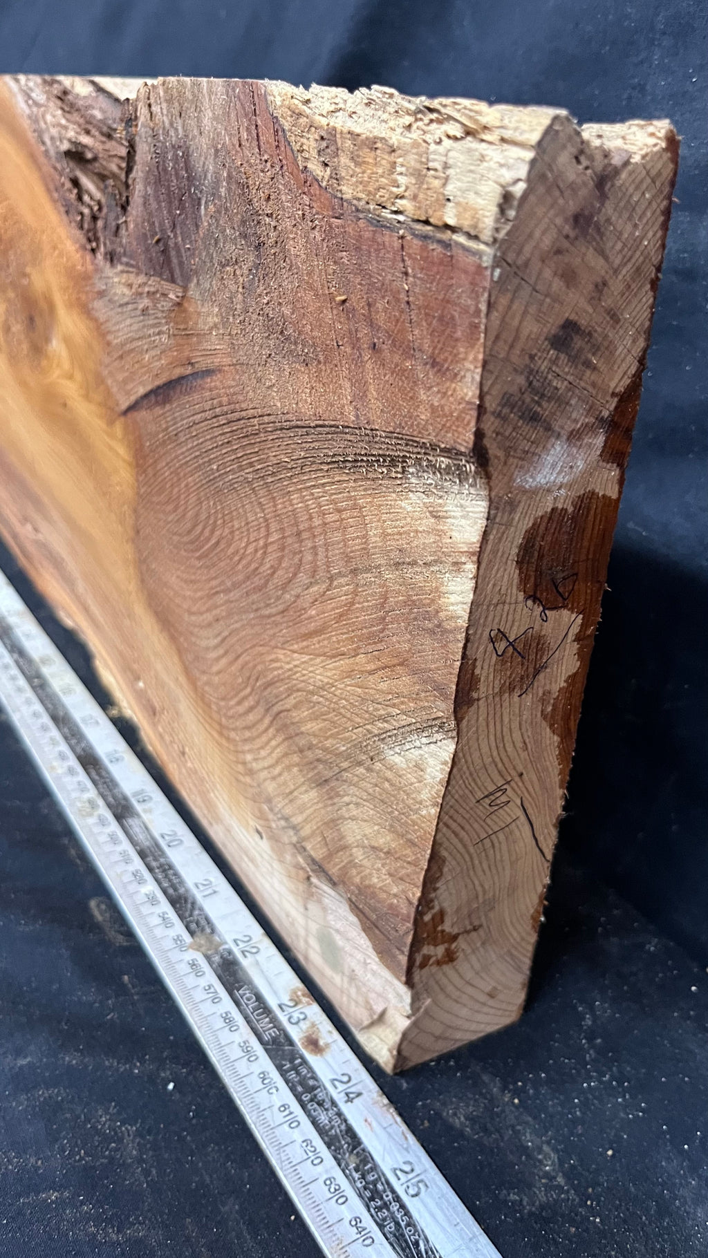 Yew, resin project, slab, board, block 615 L x 207 W x 40 D mm    (426mt)