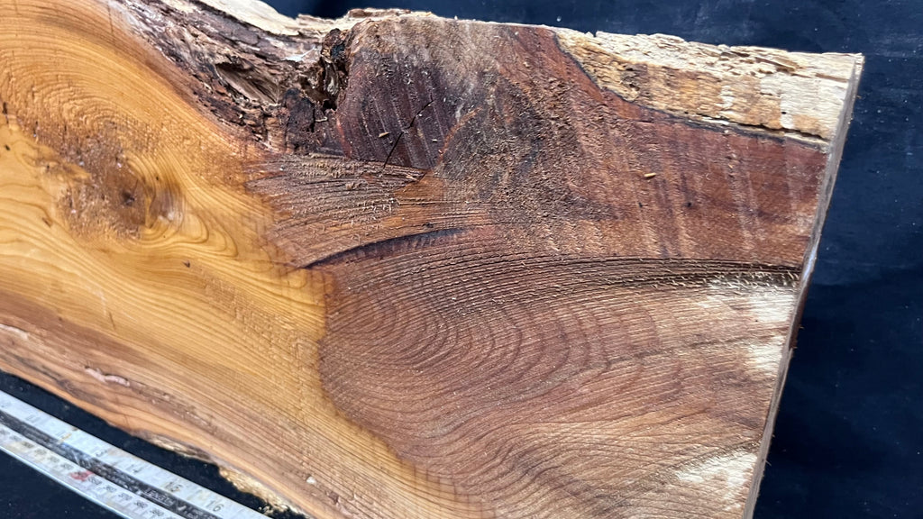 Yew, resin project, slab, board, block 615 L x 207 W x 40 D mm    (426mt)
