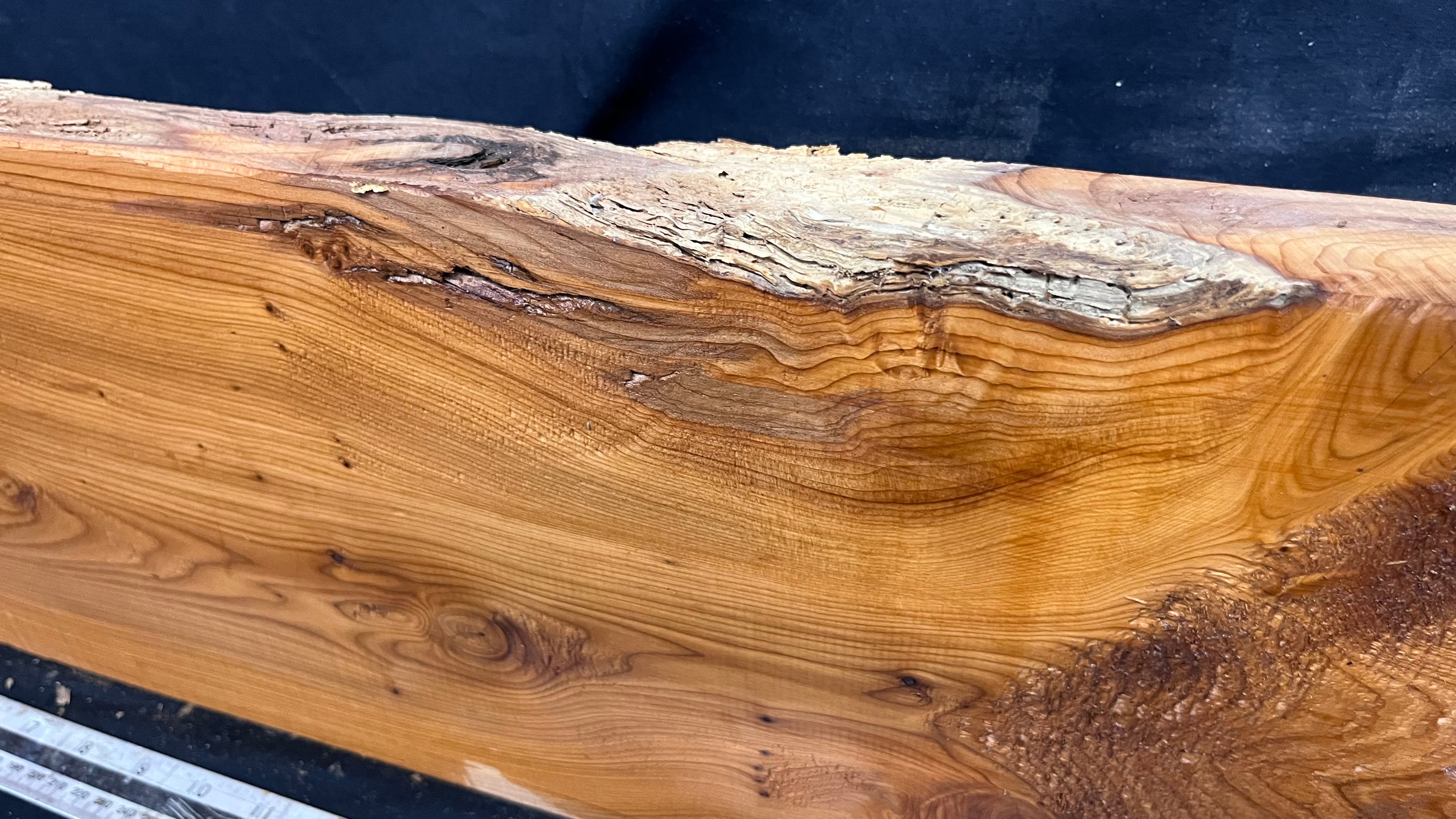 Yew, resin project, slab, board, block 615 L x 207 W x 40 D mm    (426mt)