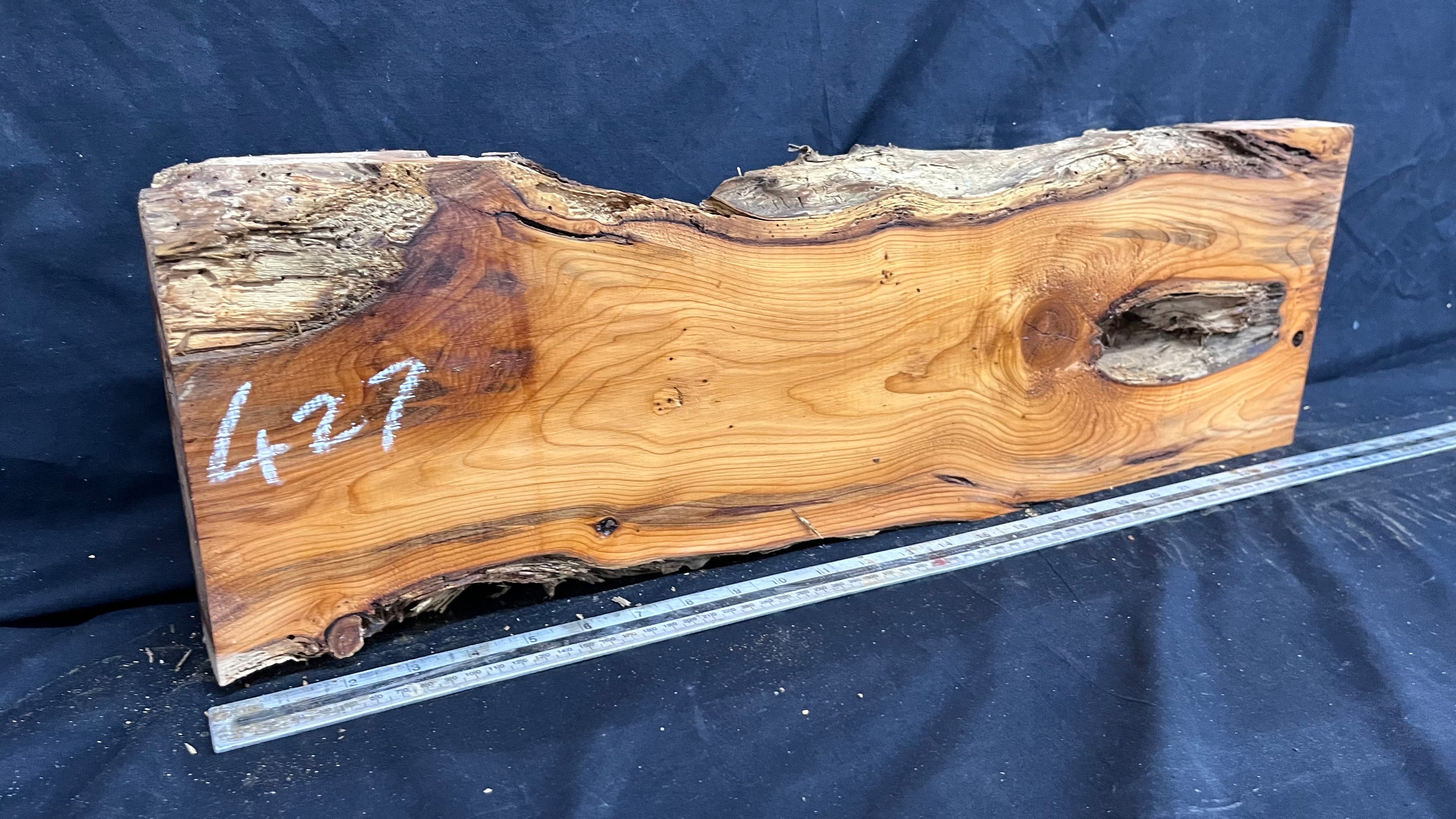 Yew, resin project, slab, board, block 667 L x 207 W x 42 D mm    (427mt)