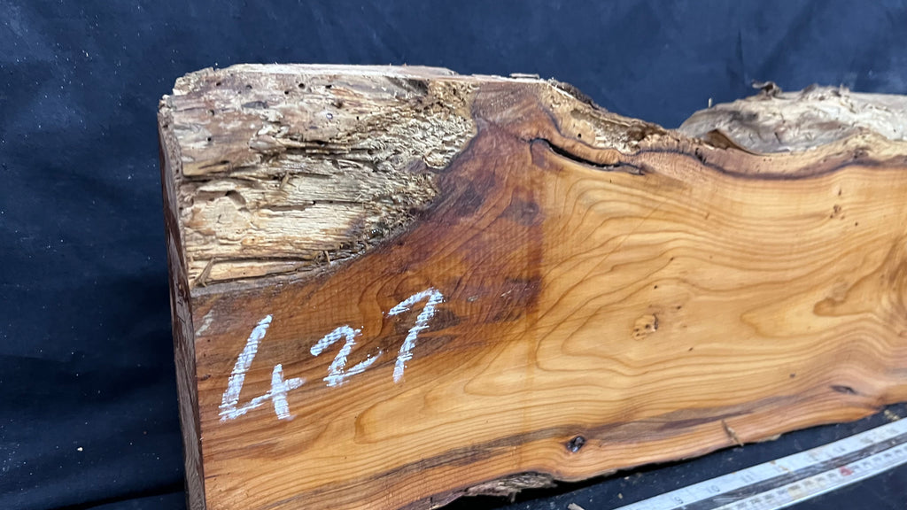 Yew, resin project, slab, board, block 667 L x 207 W x 42 D mm    (427mt)