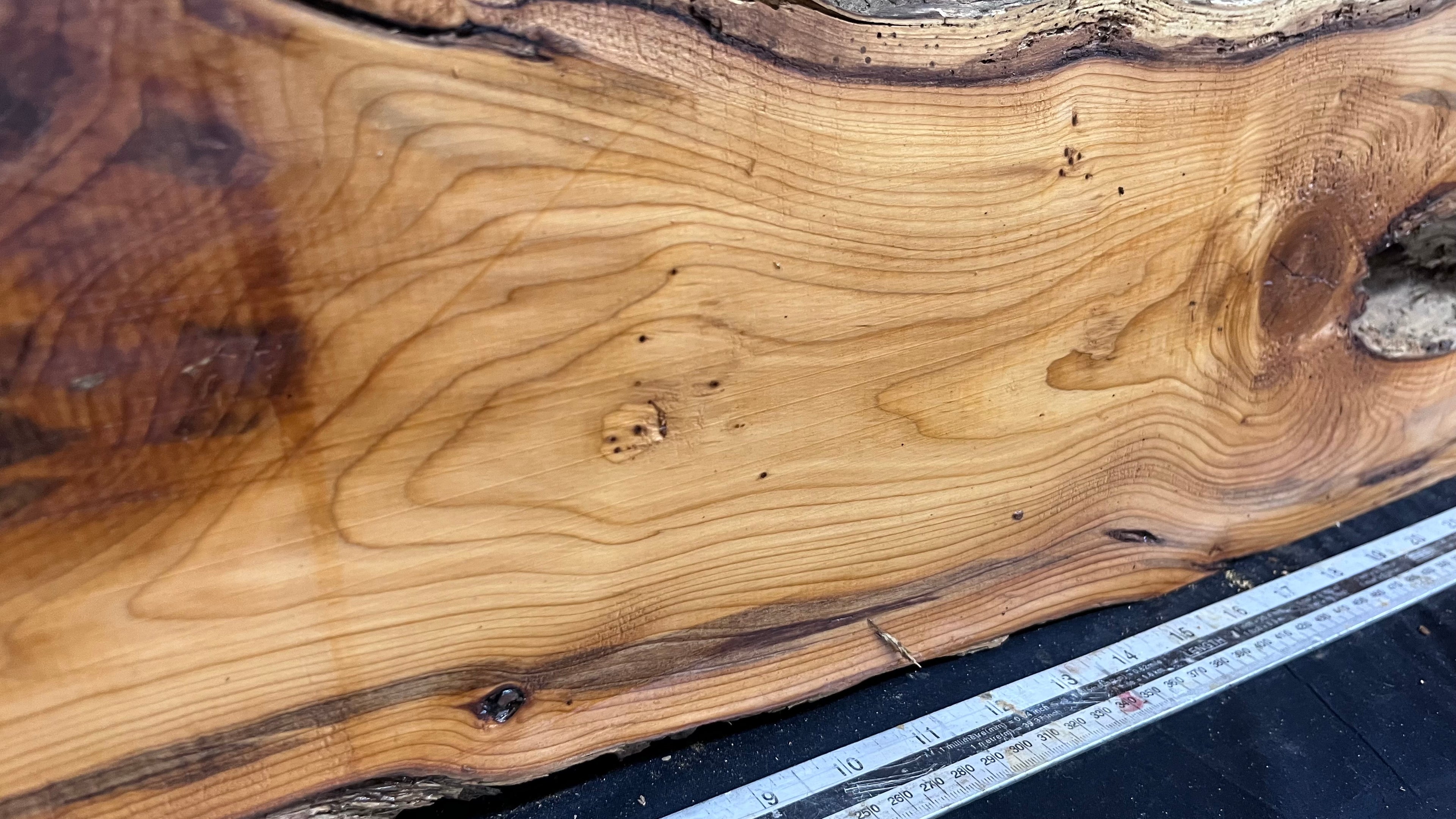 Yew, resin project, slab, board, block 667 L x 207 W x 42 D mm    (427mt)