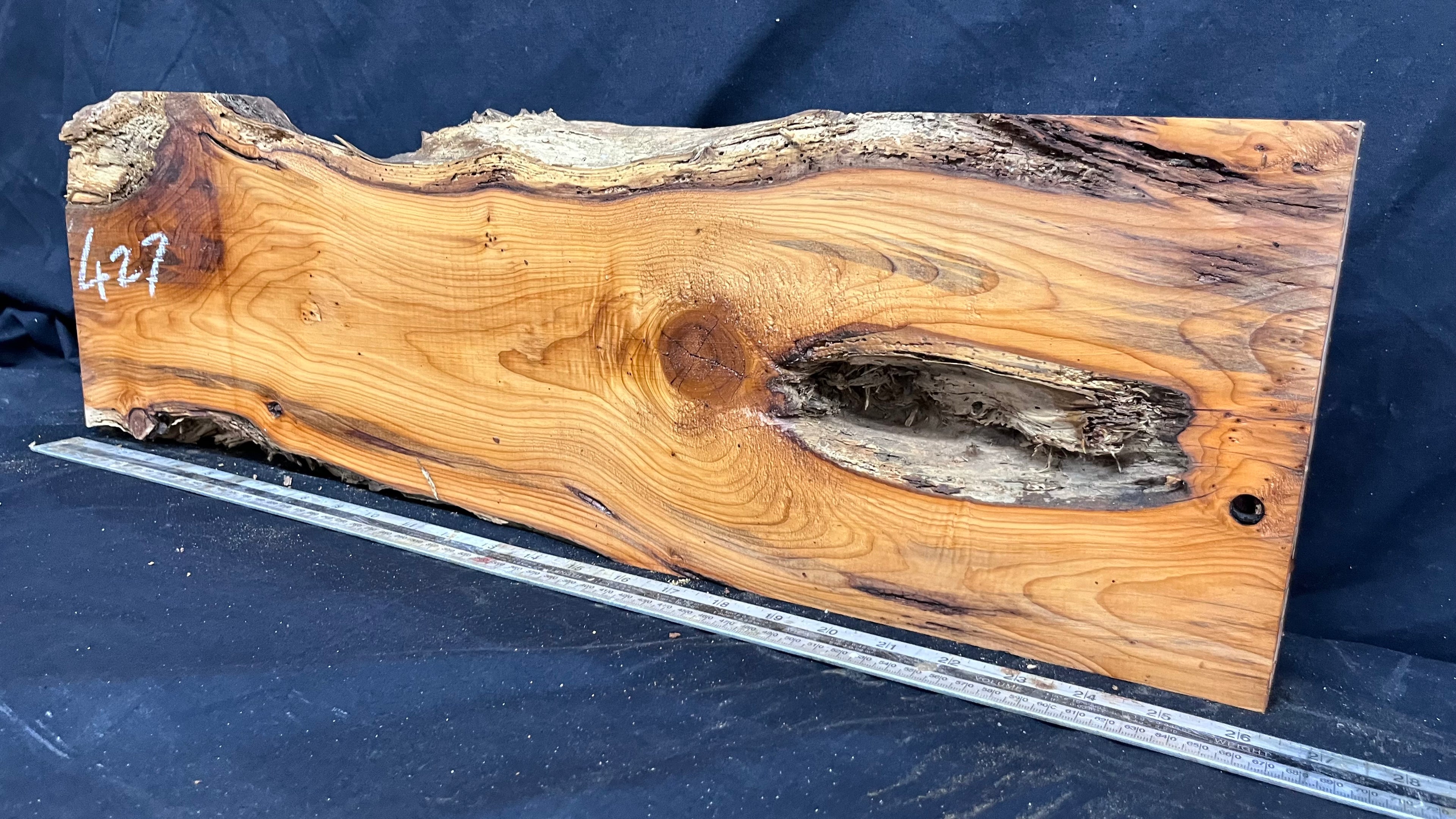 Yew, resin project, slab, board, block 667 L x 207 W x 42 D mm    (427mt)