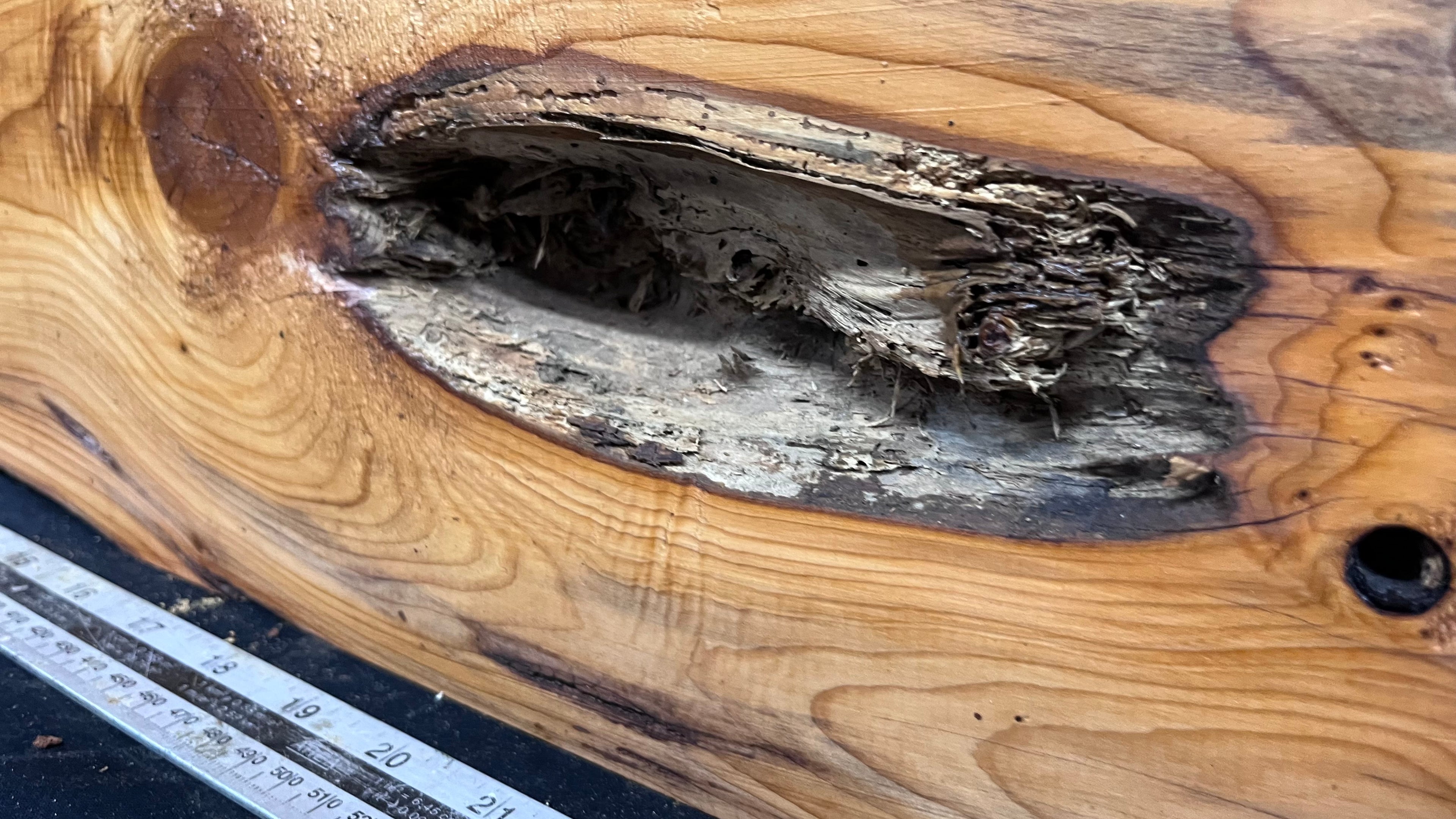 Yew, resin project, slab, board, block 667 L x 207 W x 42 D mm    (427mt)