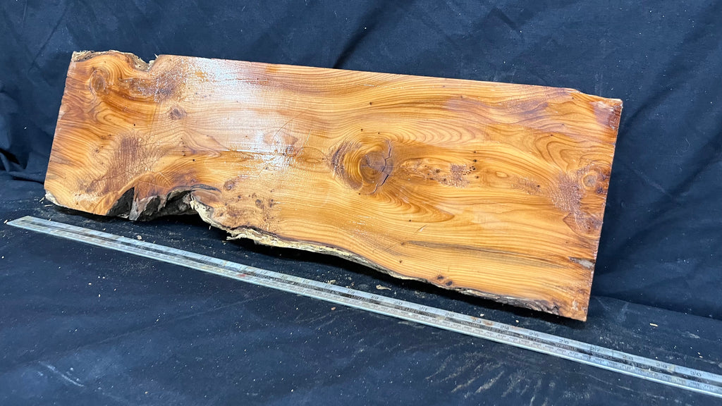Yew, resin project, slab, board, block 667 L x 207 W x 42 D mm    (427mt)