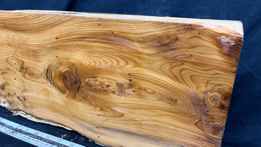 Yew, resin project, slab, board, block 667 L x 207 W x 42 D mm    (427mt)