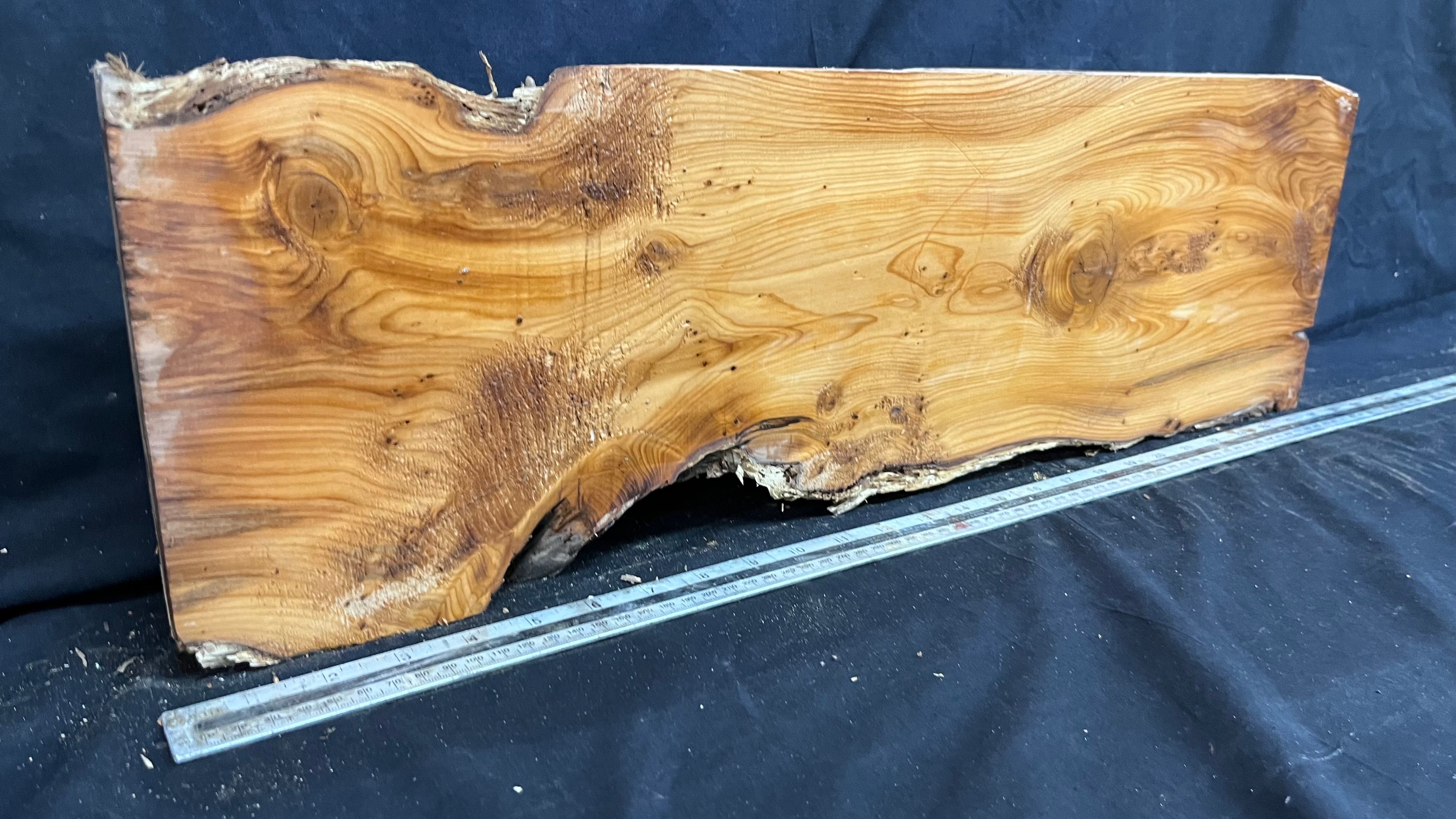 Yew, resin project, slab, board, block 667 L x 207 W x 42 D mm    (427mt)