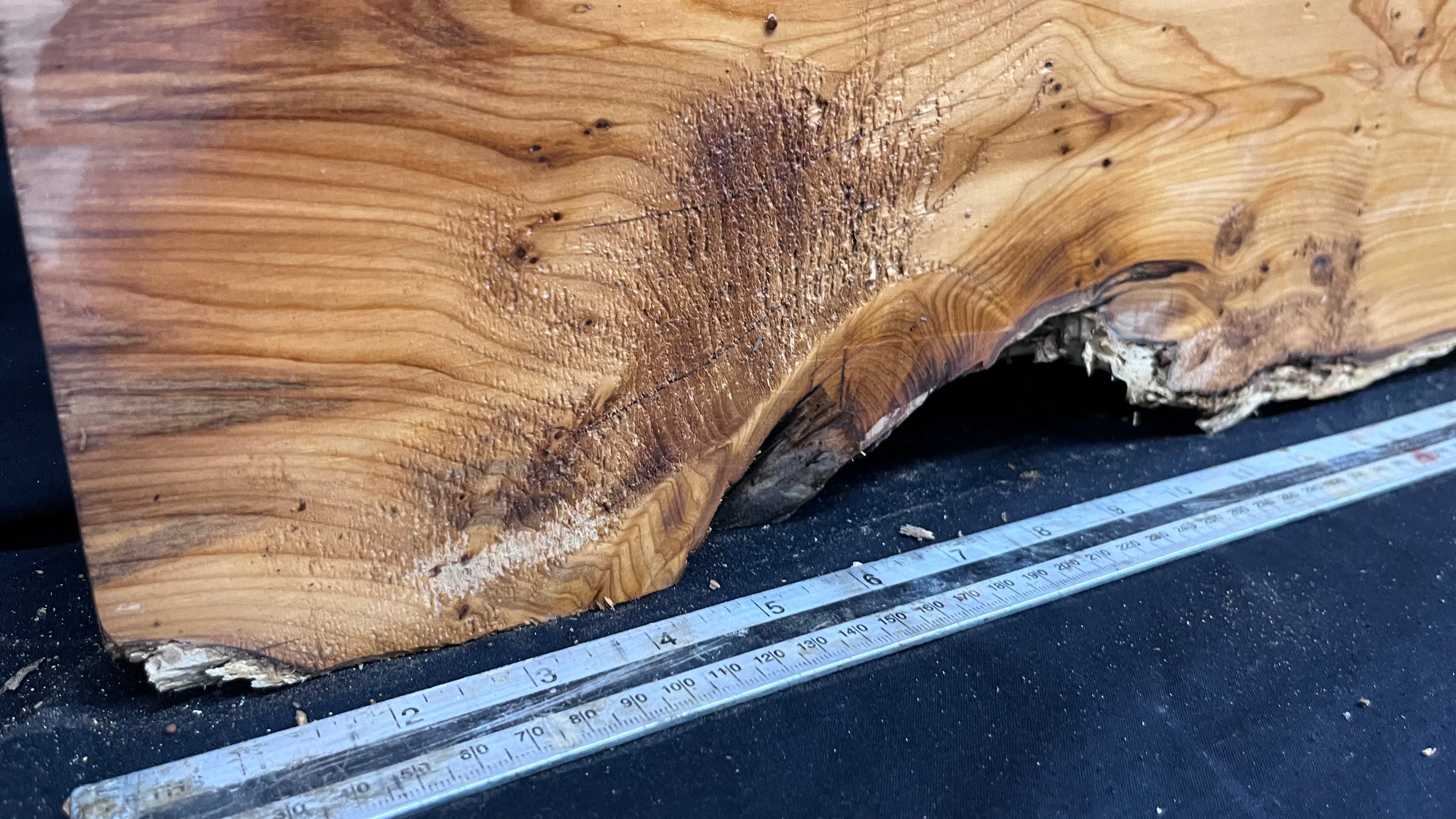 Yew, resin project, slab, board, block 667 L x 207 W x 42 D mm    (427mt)