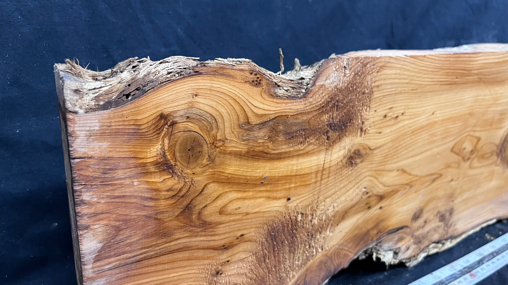 Yew, resin project, slab, board, block 667 L x 207 W x 42 D mm    (427mt)