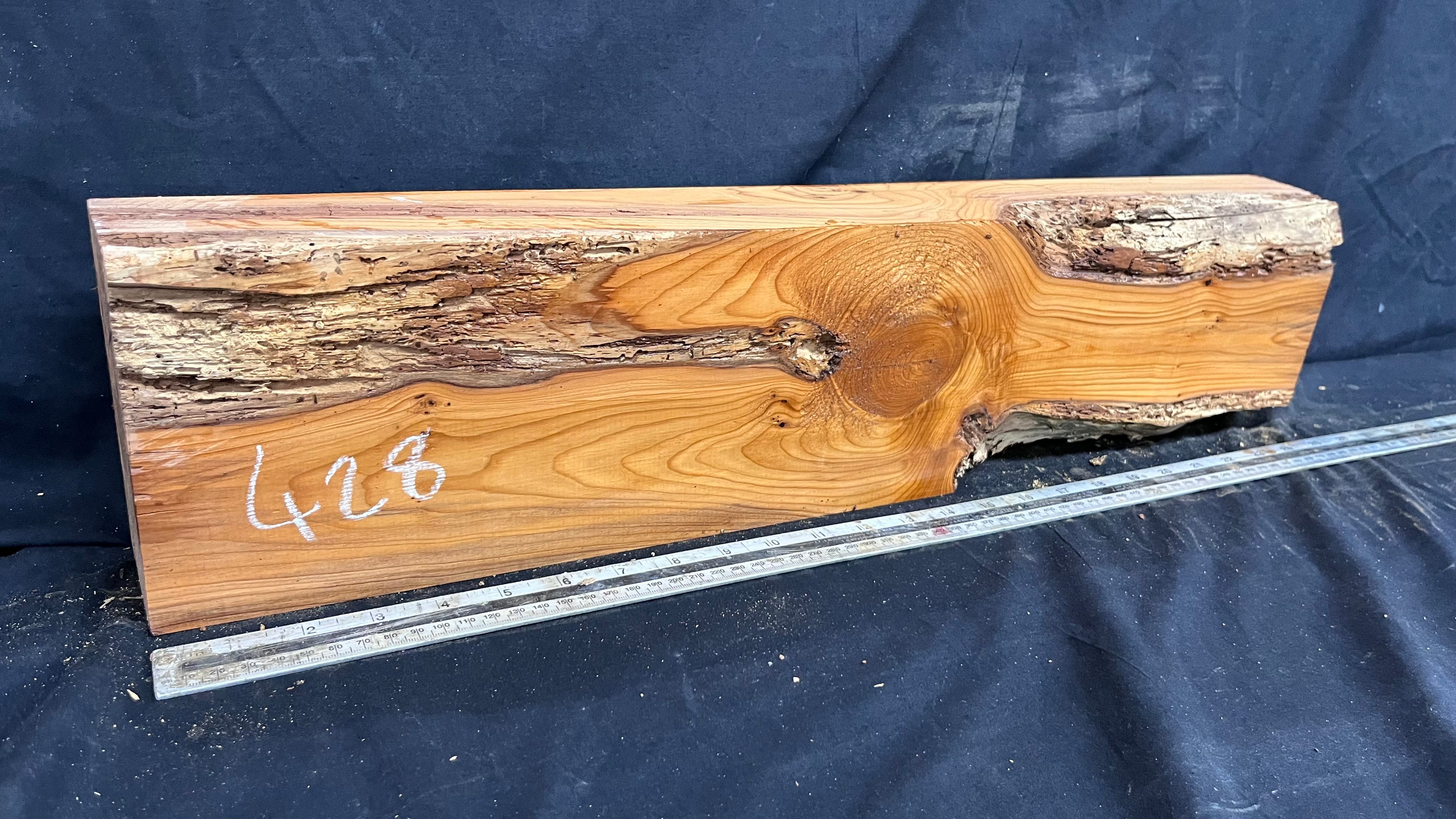 Yew, resin project, slab, board, block 634 L x 147 W x 74 D mm    (428mt)