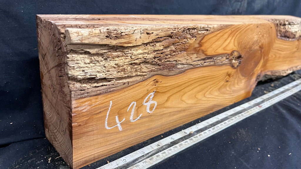 Yew, resin project, slab, board, block 634 L x 147 W x 74 D mm    (428mt)