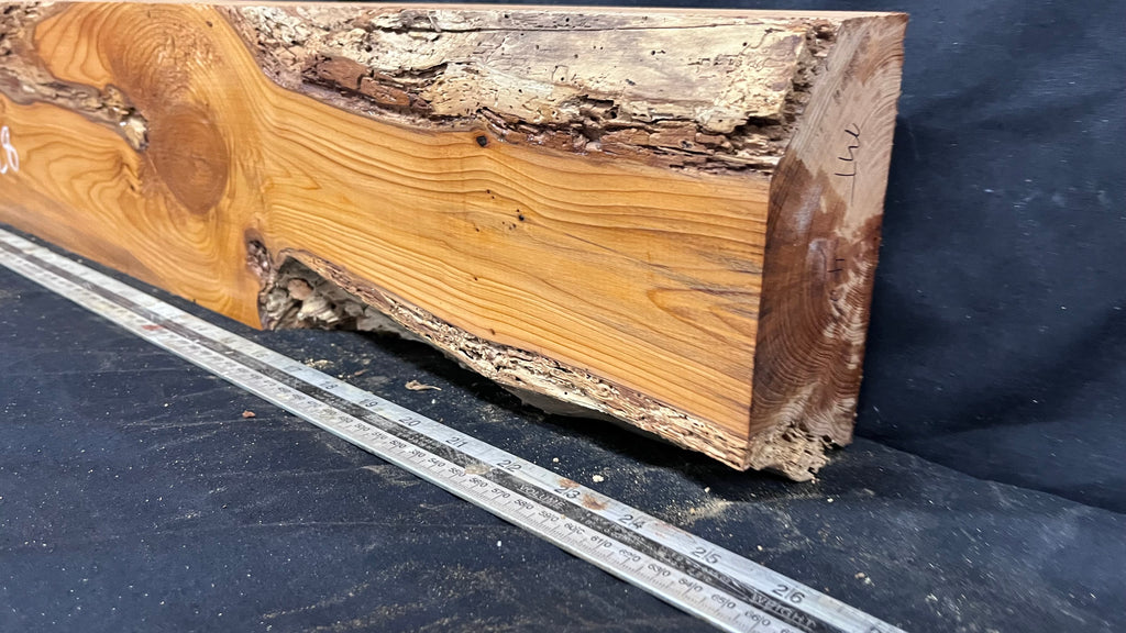 Yew, resin project, slab, board, block 634 L x 147 W x 74 D mm    (428mt)