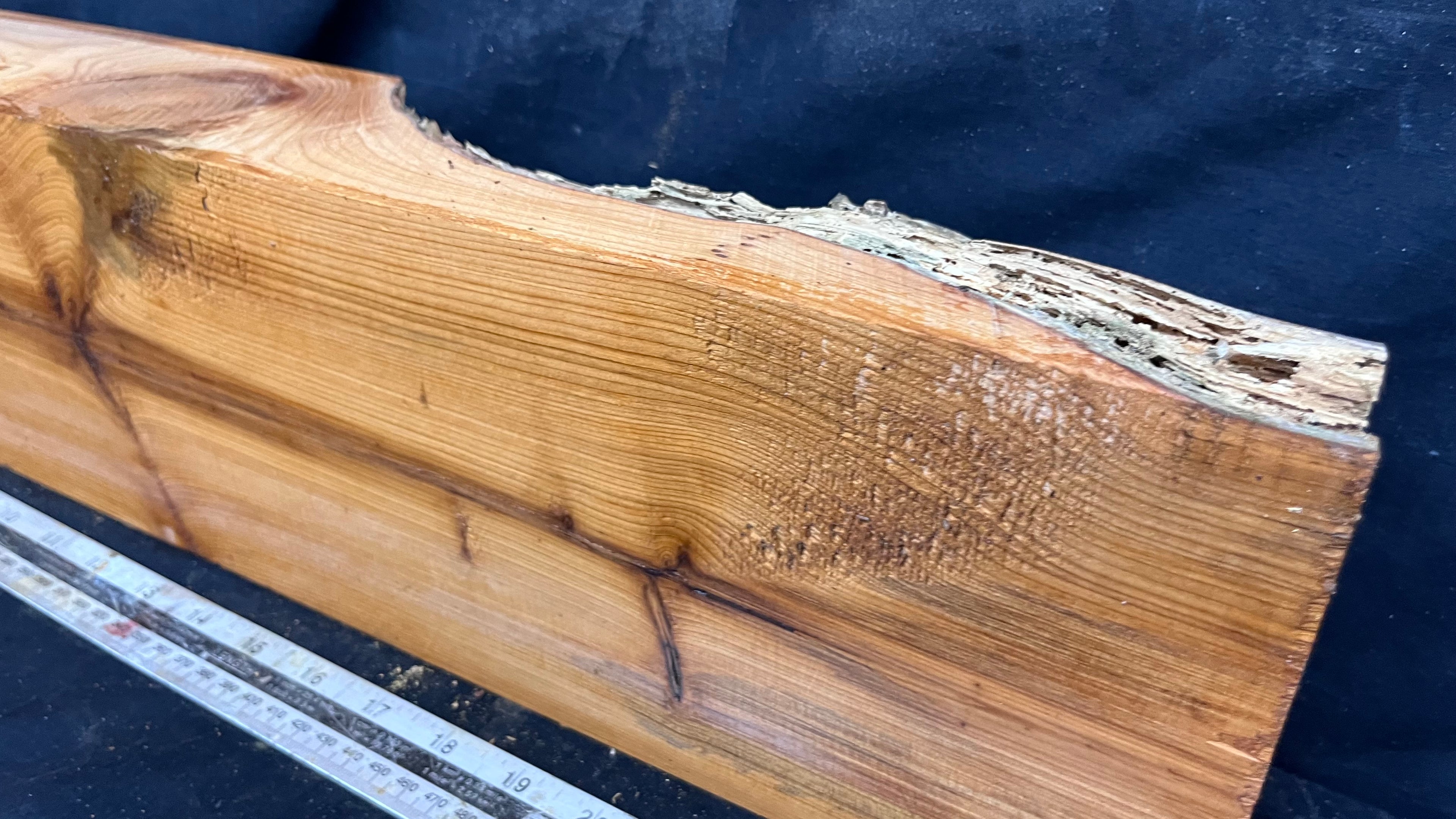 Yew, resin project, slab, board, block 634 L x 147 W x 74 D mm    (428mt)
