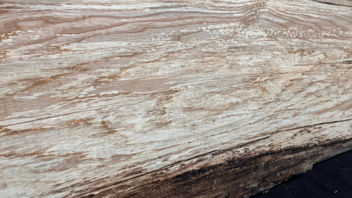 Ash timber boards, shelving 1065 L x 314 W x 28 D mm       (683)