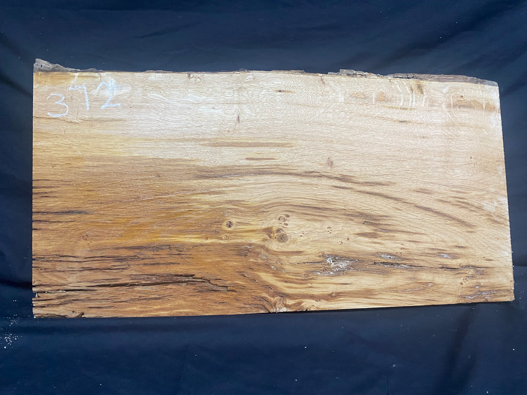 Solid oak plank, shelf, board 621 L x 324 W x 26 D mm      (mf372)