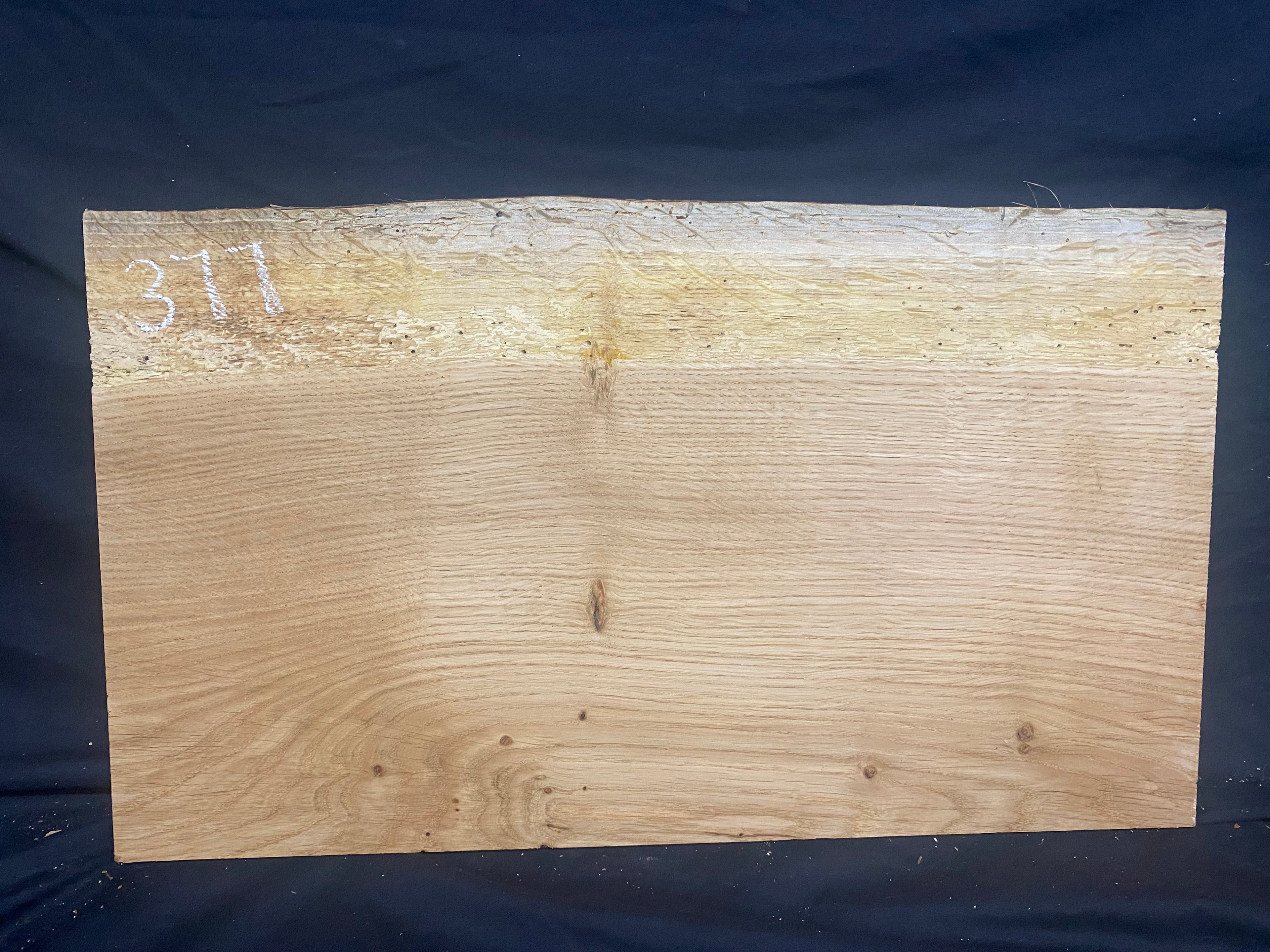 Solid oak plank, shelf, board 516 L x 304 W x 14 D mm      (mf377)