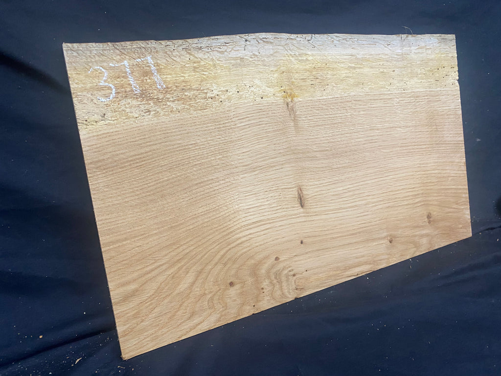 Solid oak plank, shelf, board 516 L x 304 W x 14 D mm      (mf377)