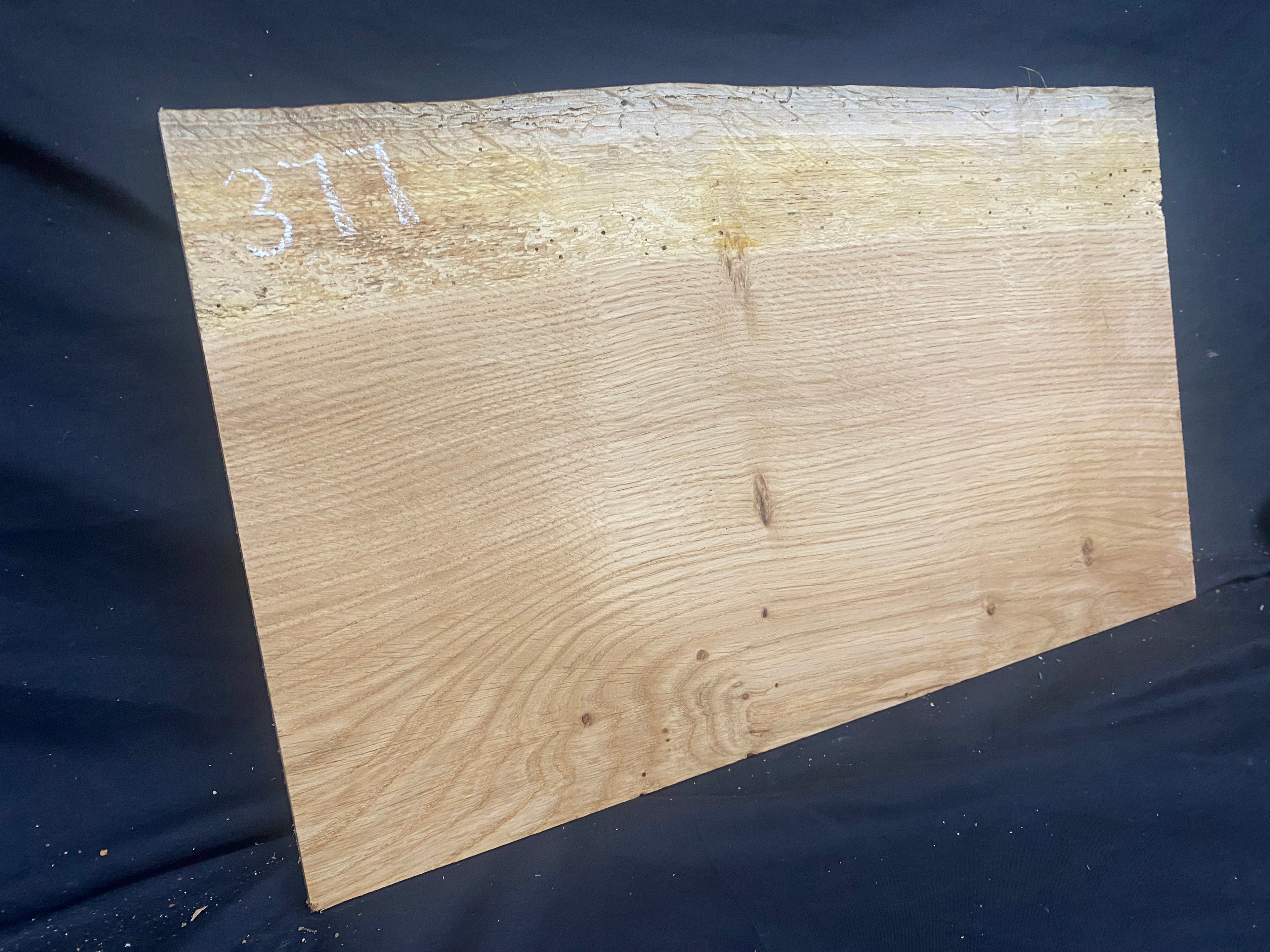 Solid oak plank, shelf, board 516 L x 304 W x 14 D mm      (mf377)