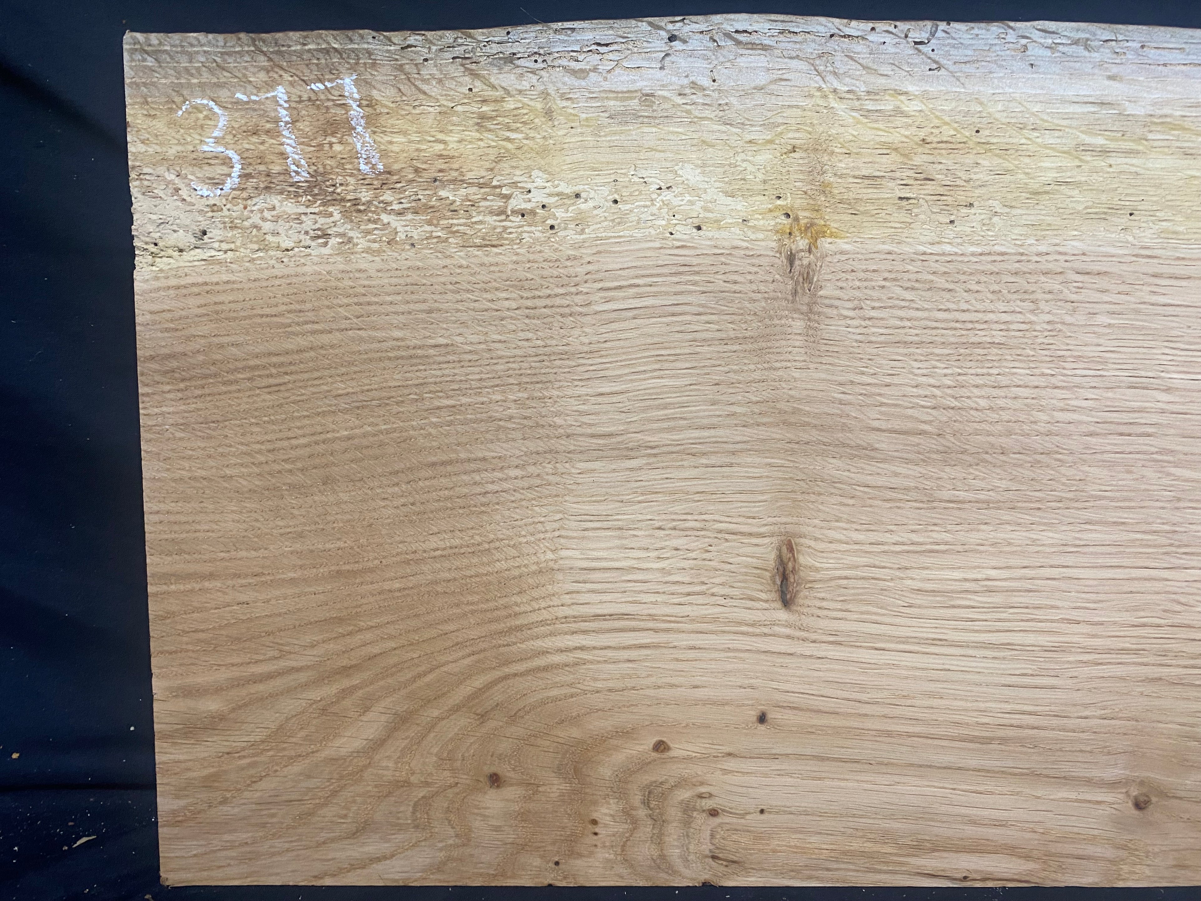 Solid oak plank, shelf, board 516 L x 304 W x 14 D mm      (mf377)