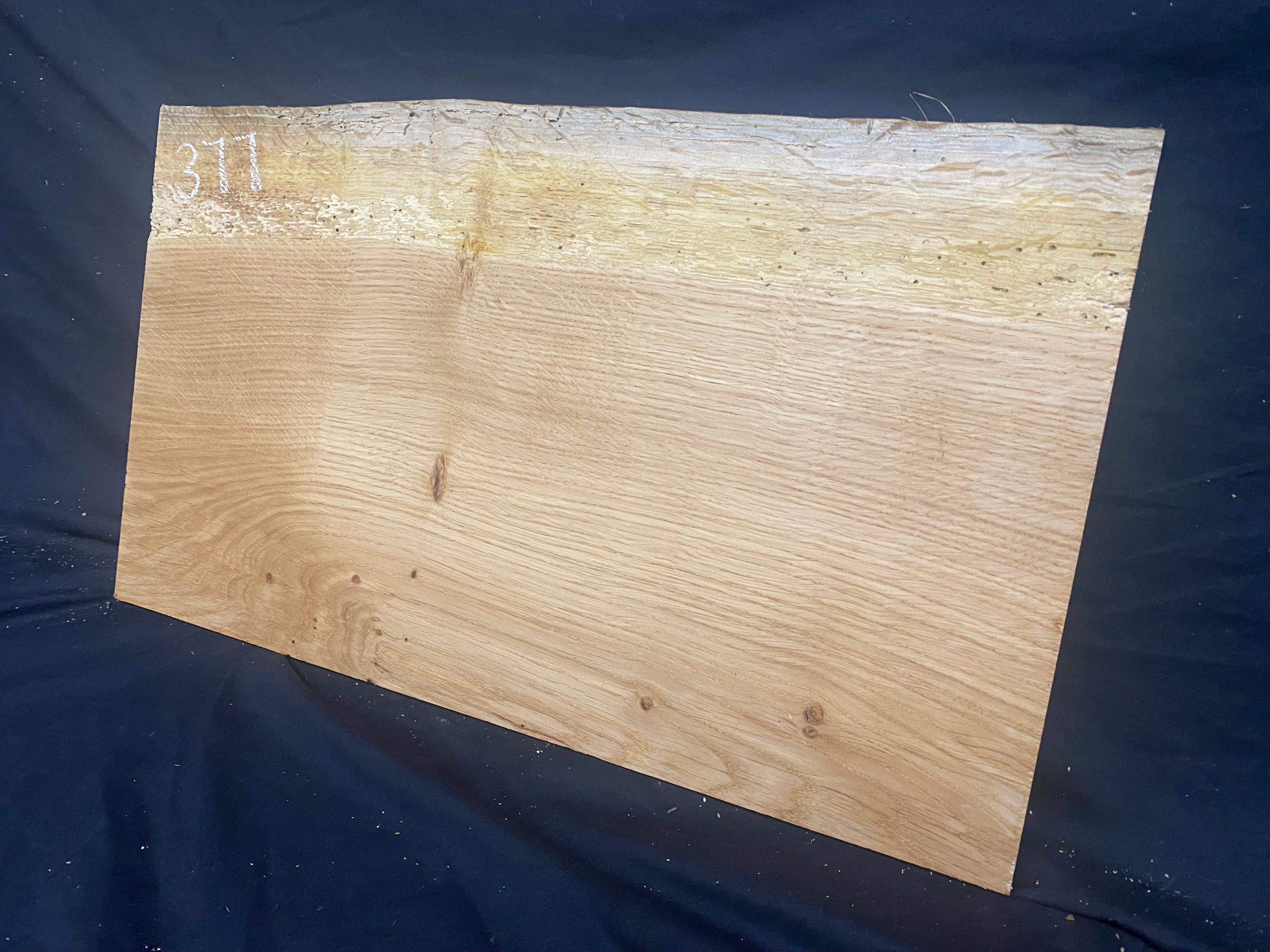 Solid oak plank, shelf, board 516 L x 304 W x 14 D mm      (mf377)