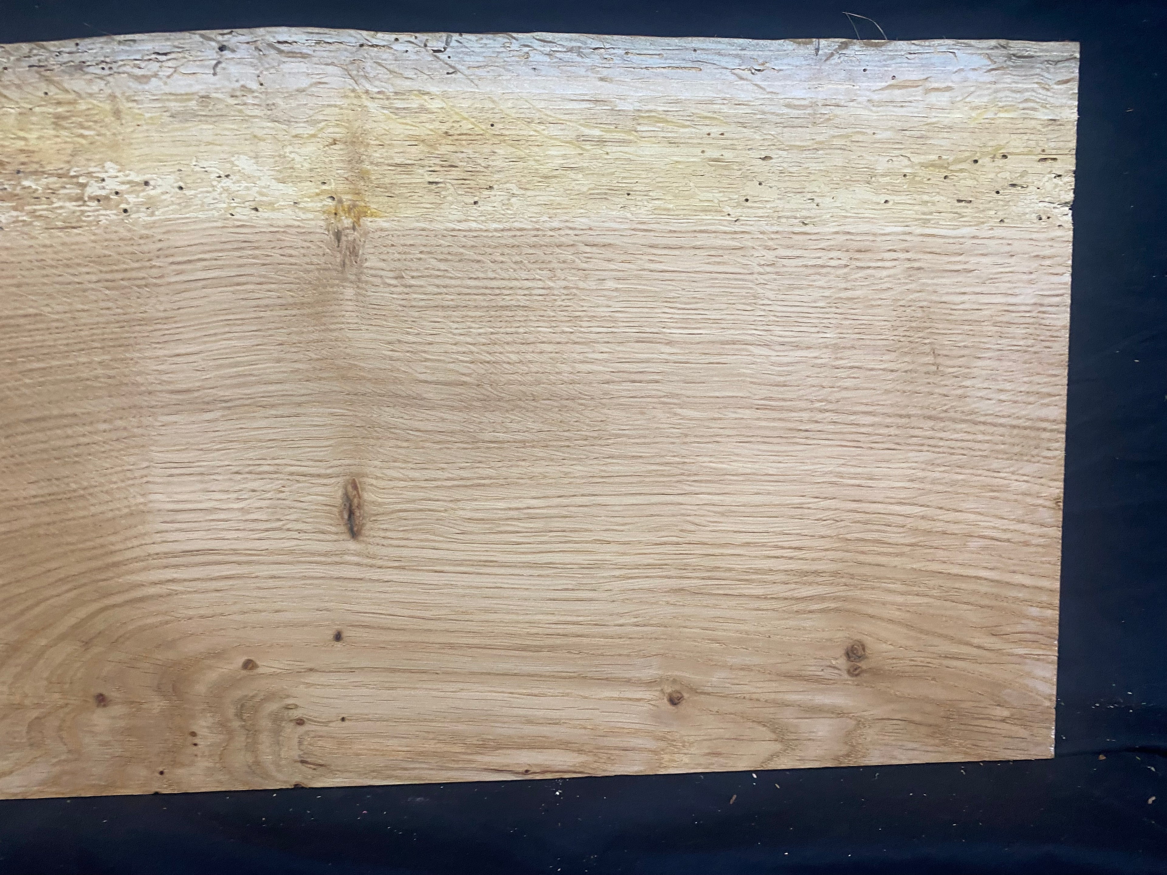 Solid oak plank, shelf, board 516 L x 304 W x 14 D mm      (mf377)