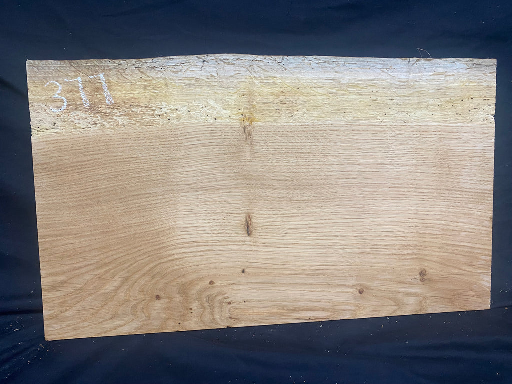 Solid oak plank, shelf, board 516 L x 304 W x 14 D mm      (mf377)