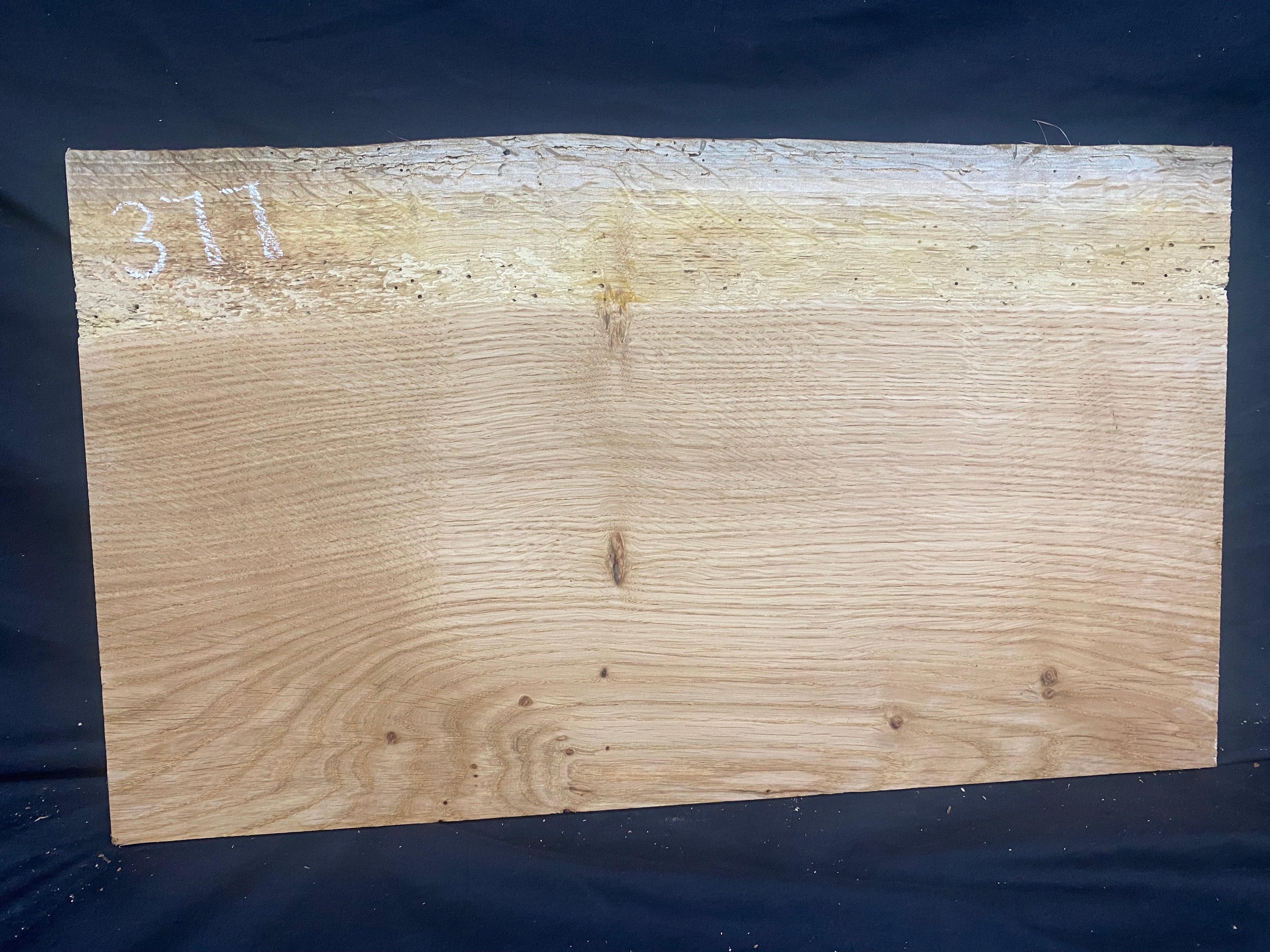 Solid oak plank, shelf, board 516 L x 304 W x 14 D mm      (mf377)
