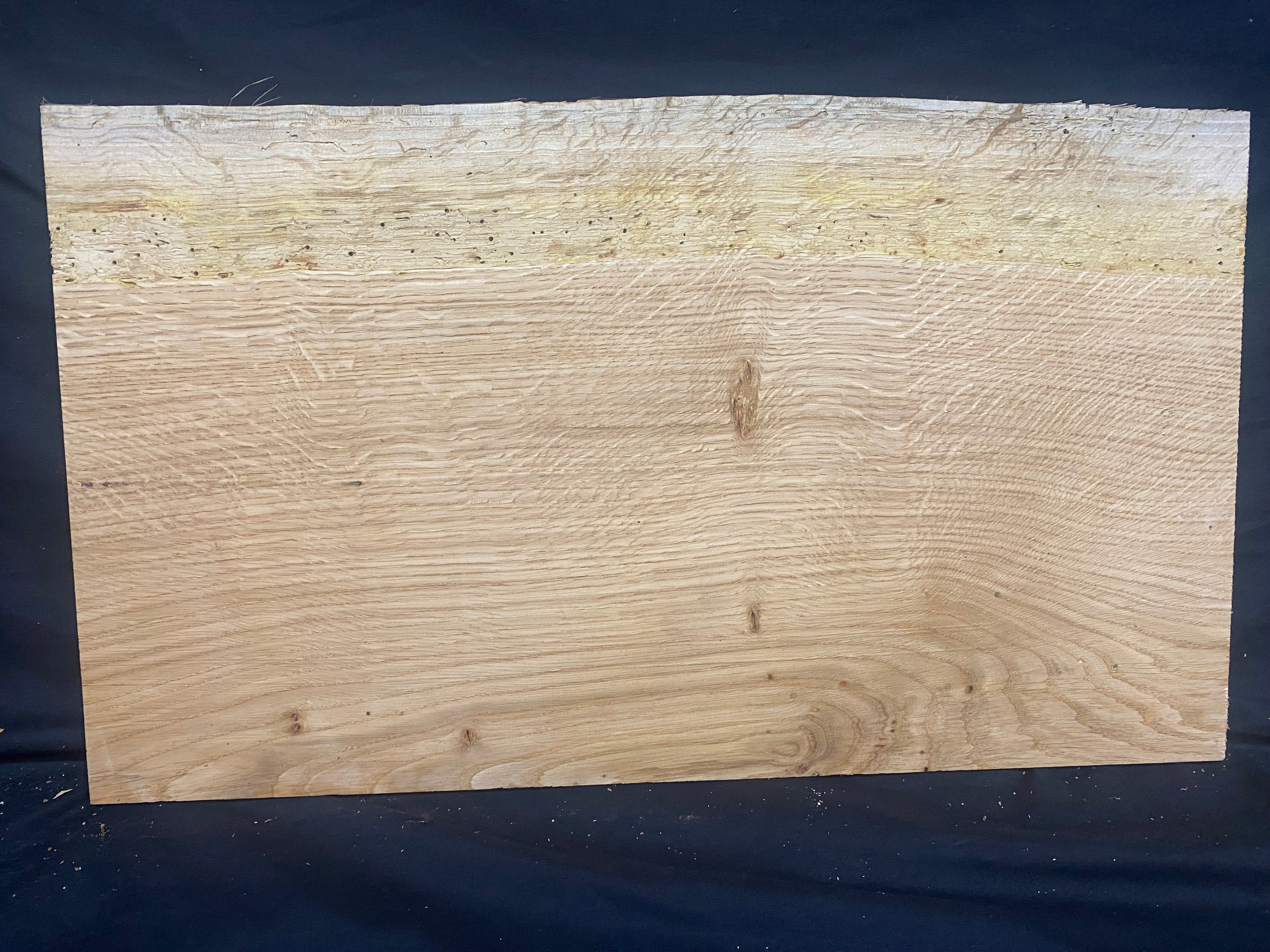 Solid oak plank, shelf, board 516 L x 304 W x 14 D mm      (mf377)