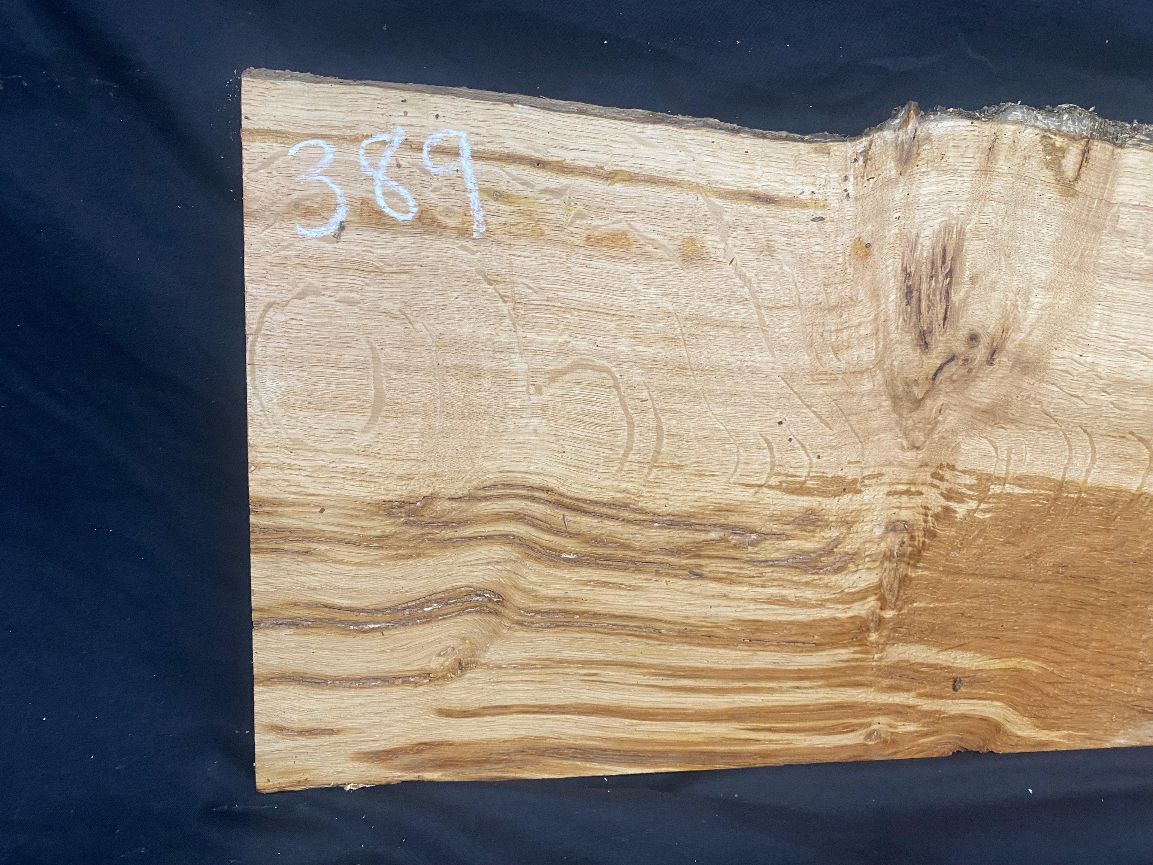 Solid oak plank, shelf, board 588 L x 287 W x 24 D mm      (mf389)