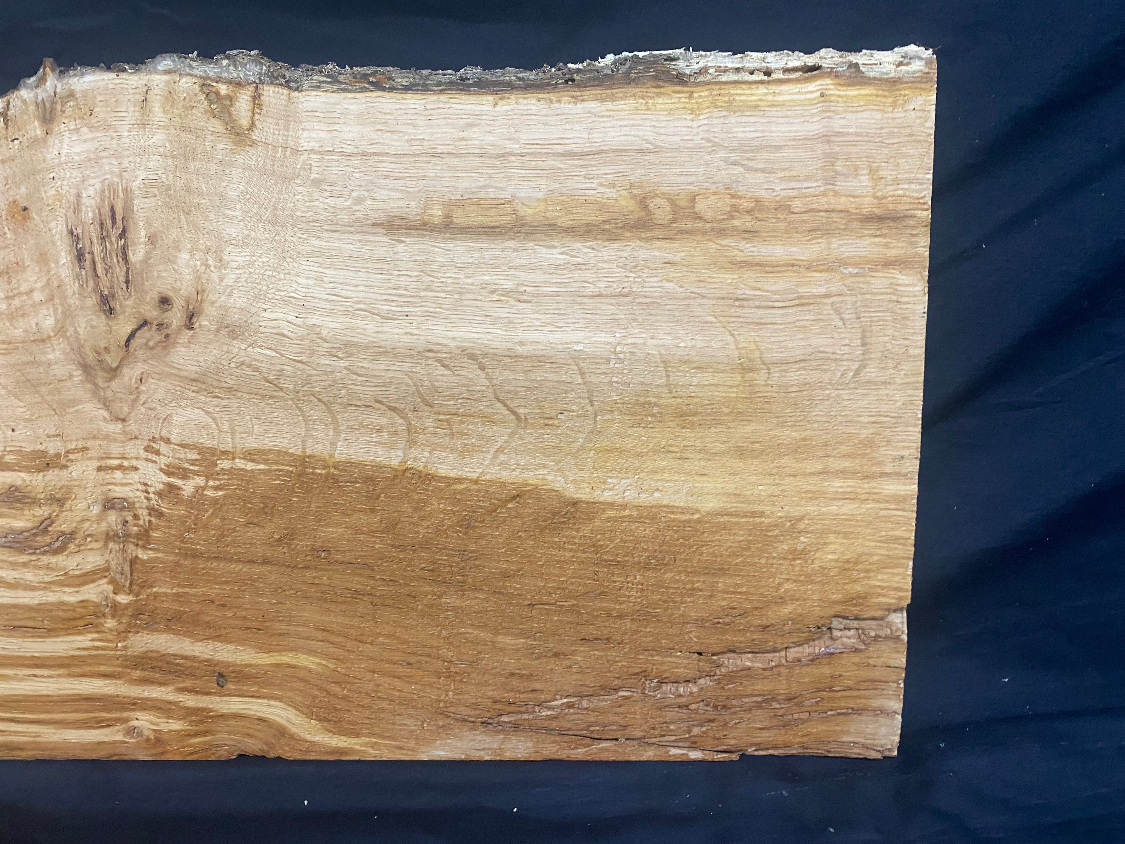 Solid oak plank, shelf, board 588 L x 287 W x 24 D mm      (mf389)