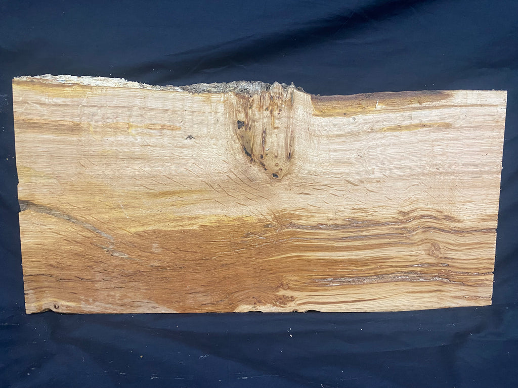 Solid oak plank, shelf, board 588 L x 287 W x 24 D mm      (mf389)