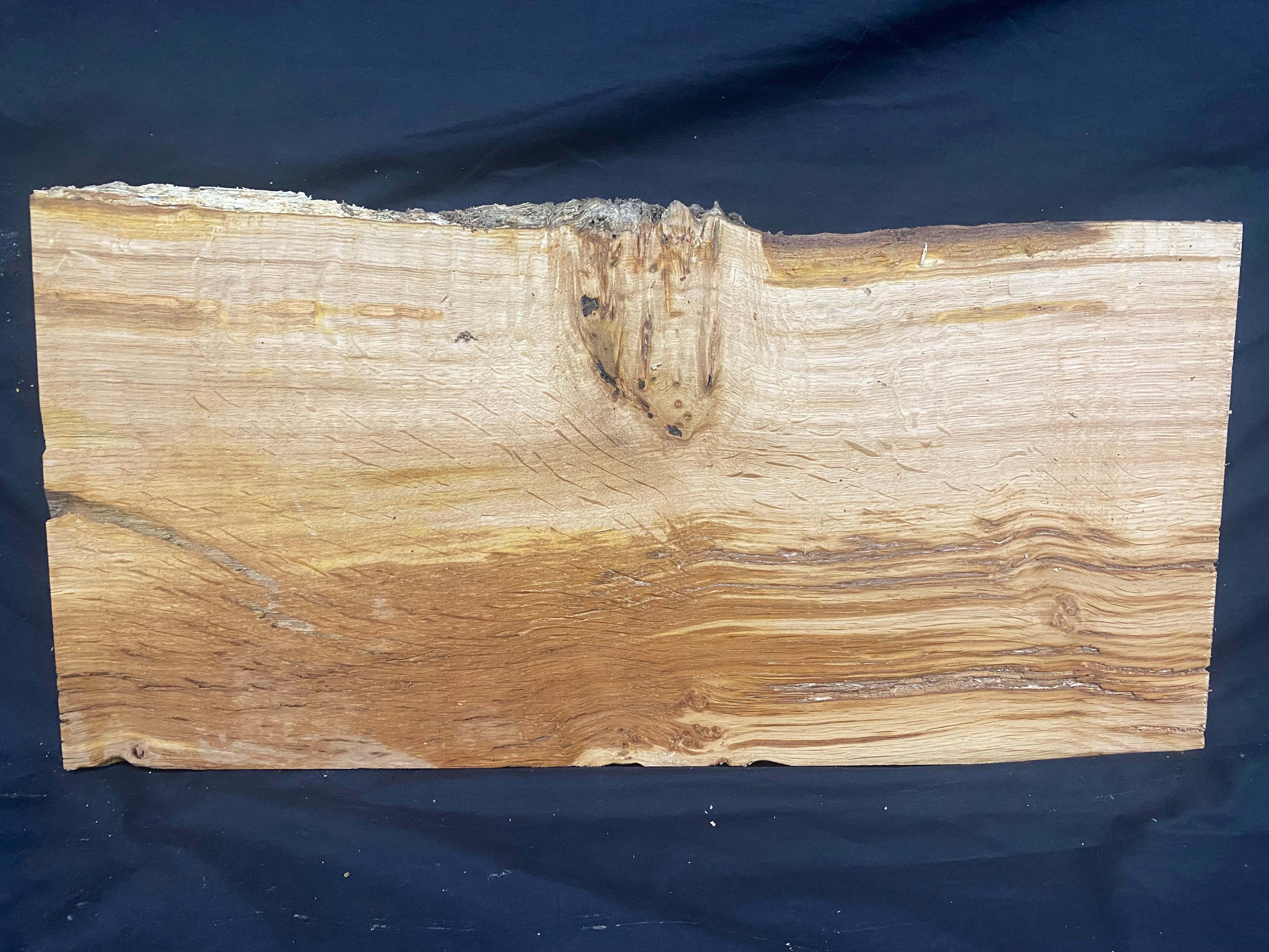 Solid oak plank, shelf, board 588 L x 287 W x 24 D mm      (mf389)