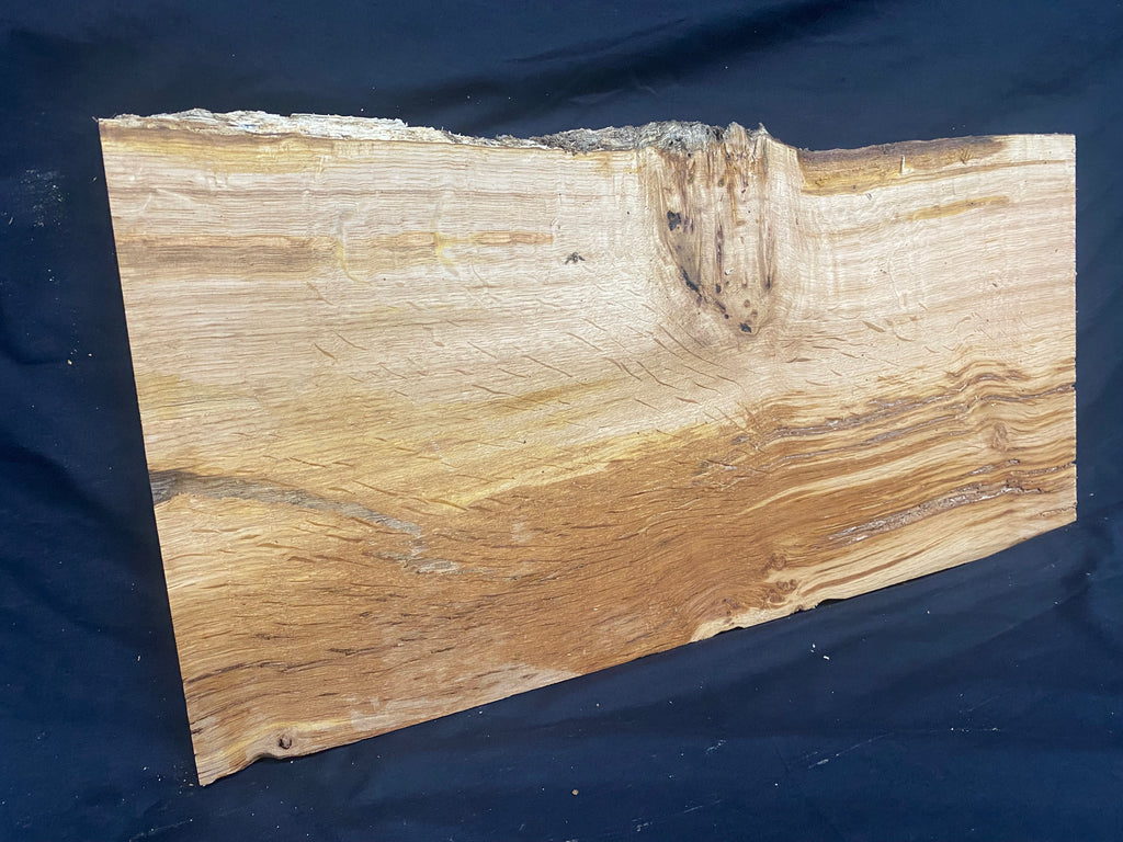 Solid oak plank, shelf, board 588 L x 287 W x 24 D mm      (mf389)
