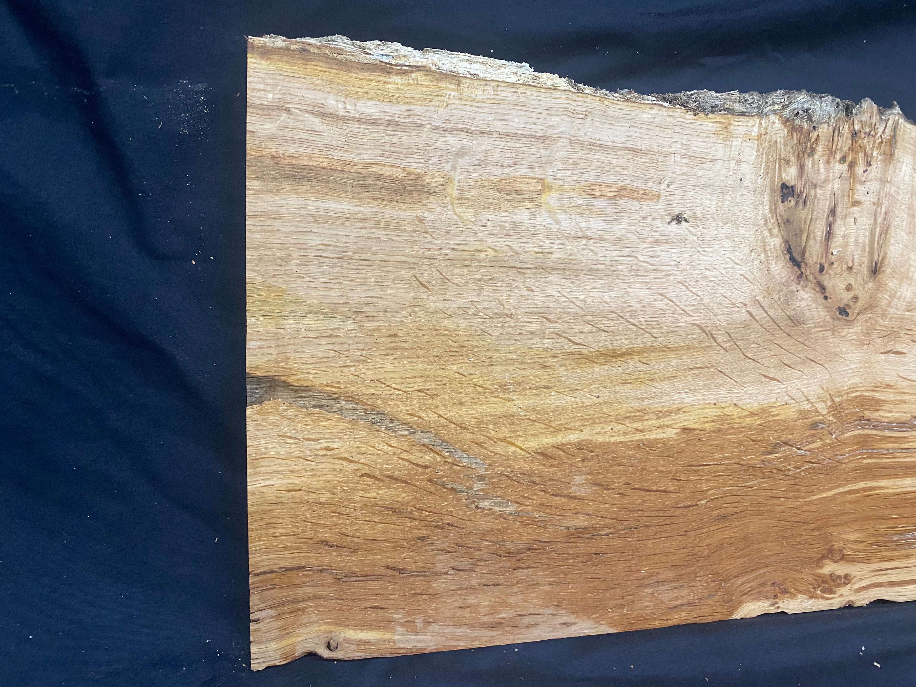 Solid oak plank, shelf, board 588 L x 287 W x 24 D mm      (mf389)