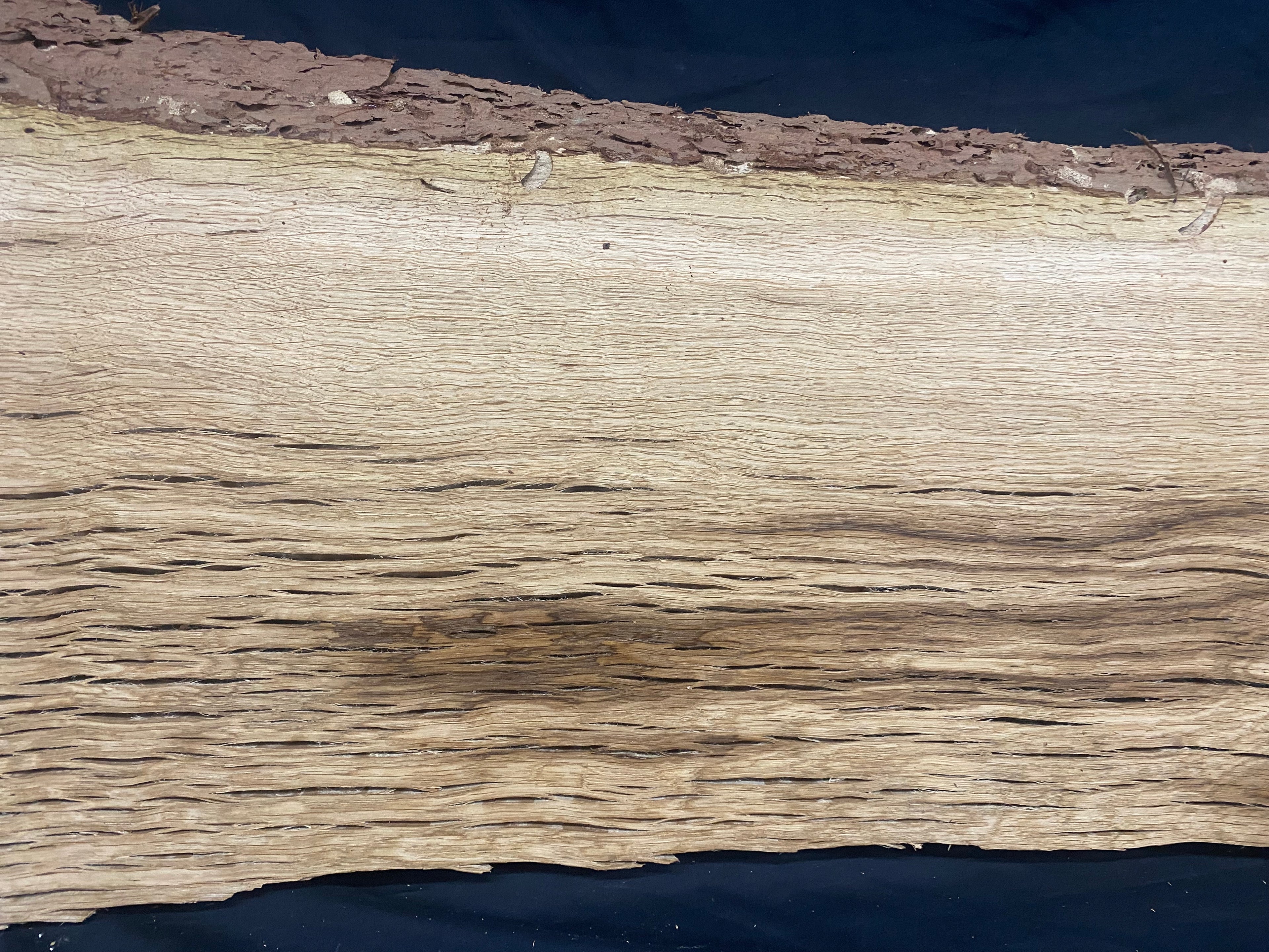 Solid oak plank, coffee table, shelf, board 780 L x 407 W x 33 D mm      (mf391)