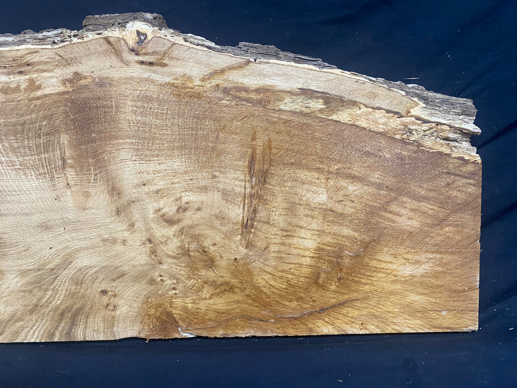 Solid oak plank, shelf, board 671 L x 320 W x 21 D mm      (mf398)