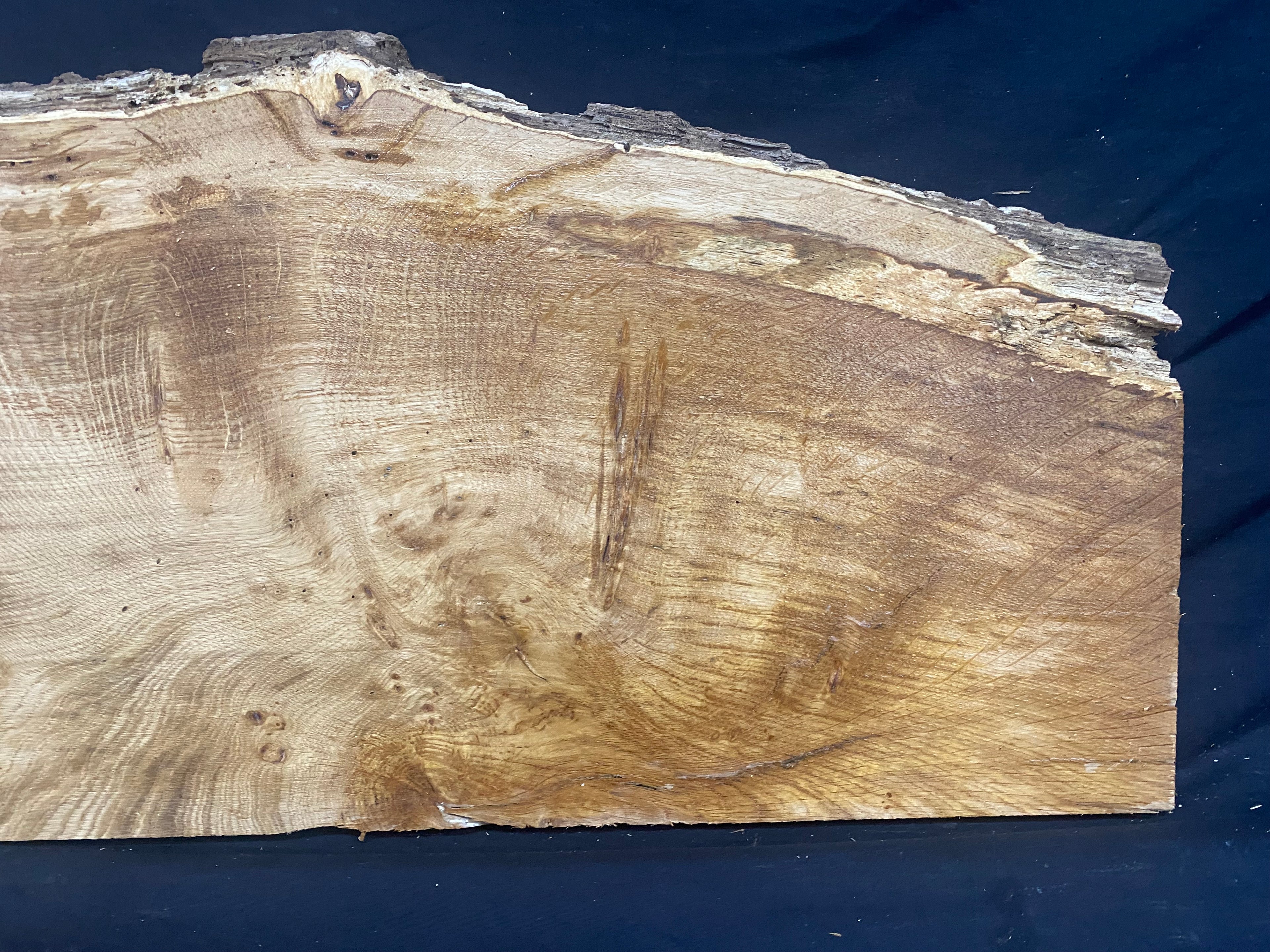 Solid oak plank, shelf, board 671 L x 320 W x 21 D mm      (mf398)