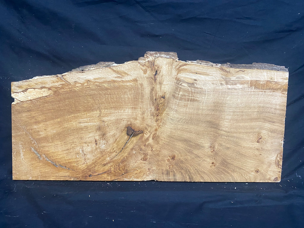 Solid oak plank, shelf, board 671 L x 320 W x 21 D mm      (mf398)