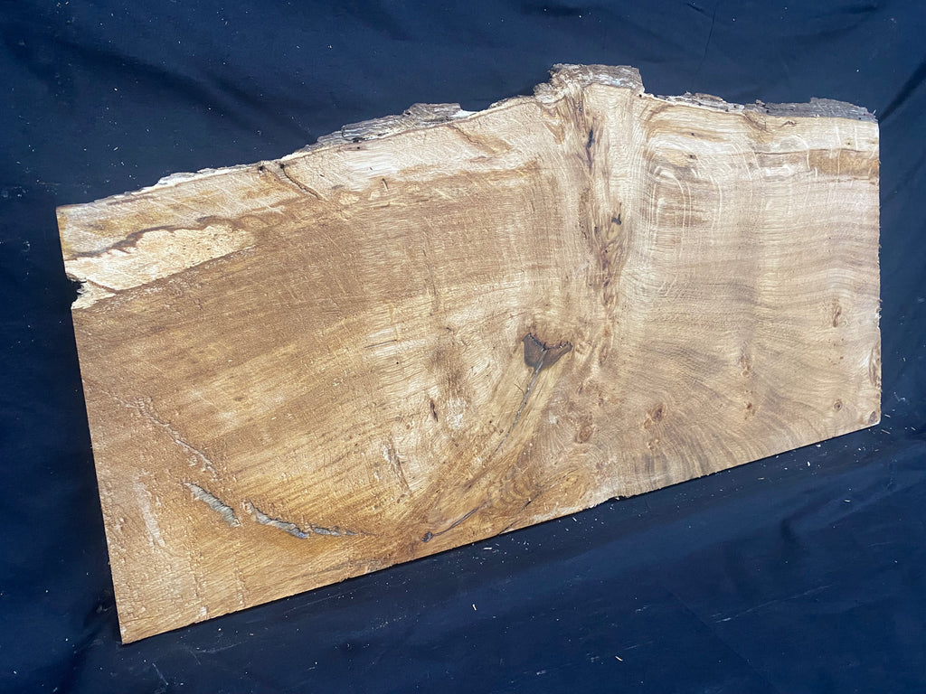 Solid oak plank, shelf, board 671 L x 320 W x 21 D mm      (mf398)