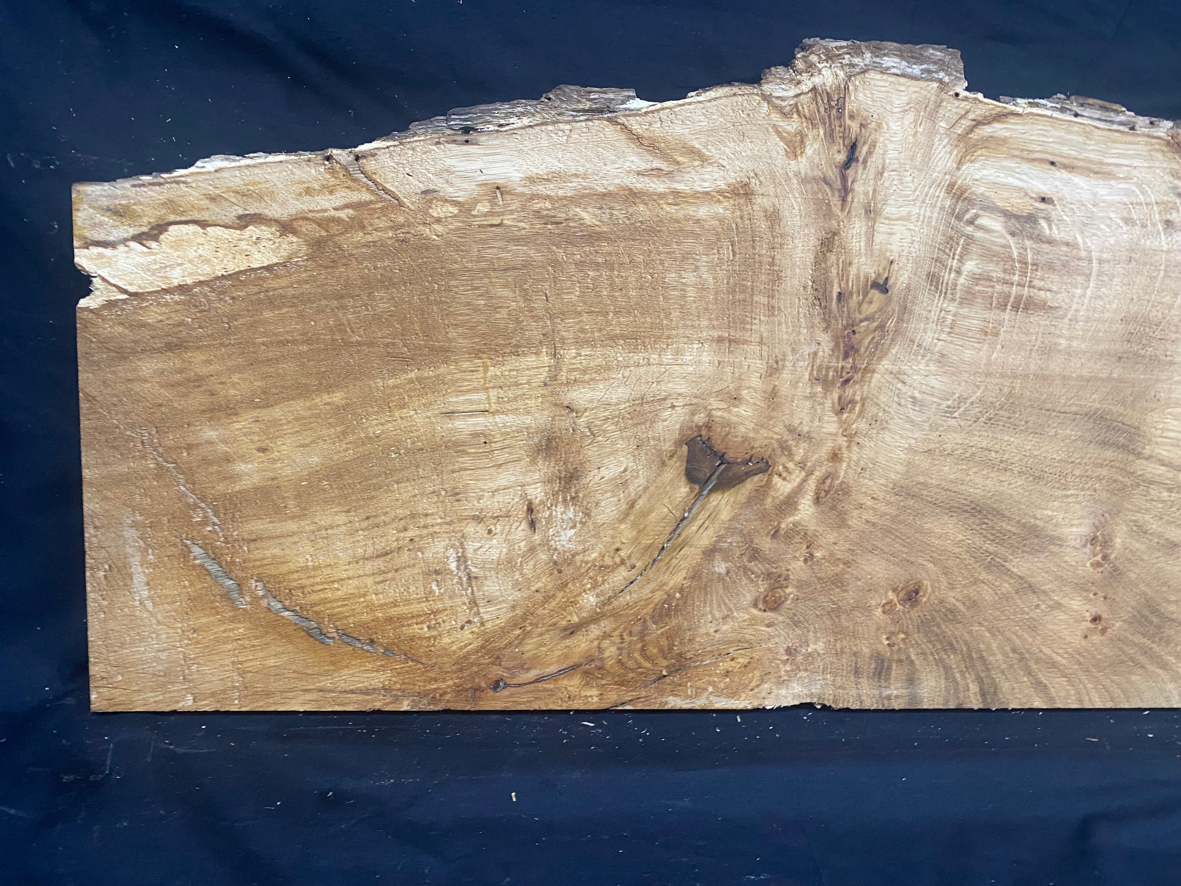 Solid oak plank, shelf, board 671 L x 320 W x 21 D mm      (mf398)