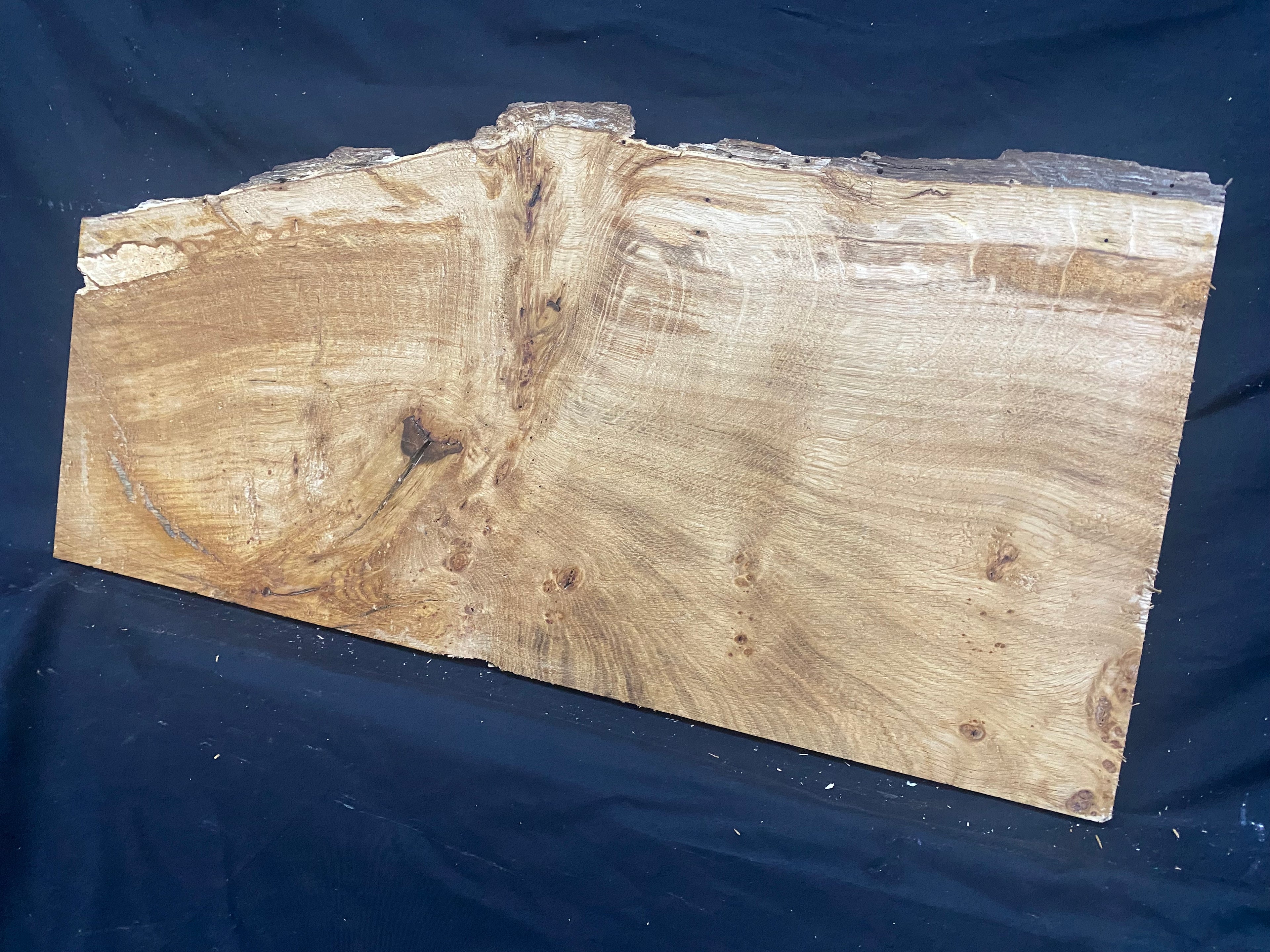 Solid oak plank, shelf, board 671 L x 320 W x 21 D mm      (mf398)