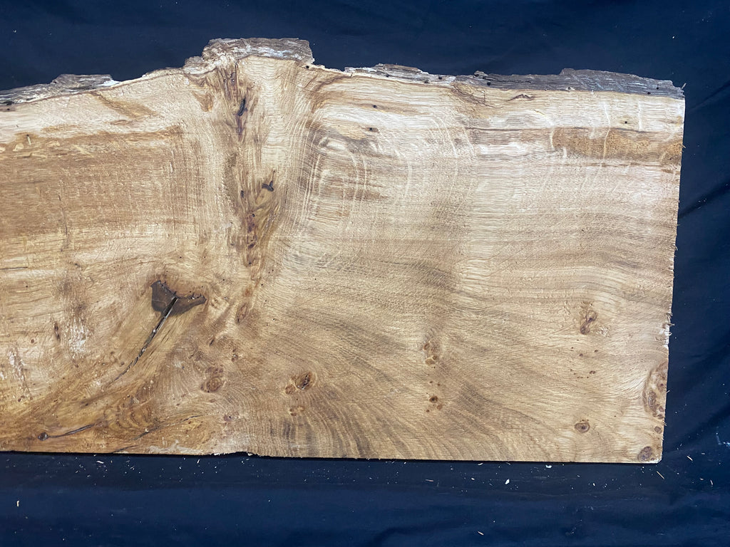 Solid oak plank, shelf, board 671 L x 320 W x 21 D mm      (mf398)